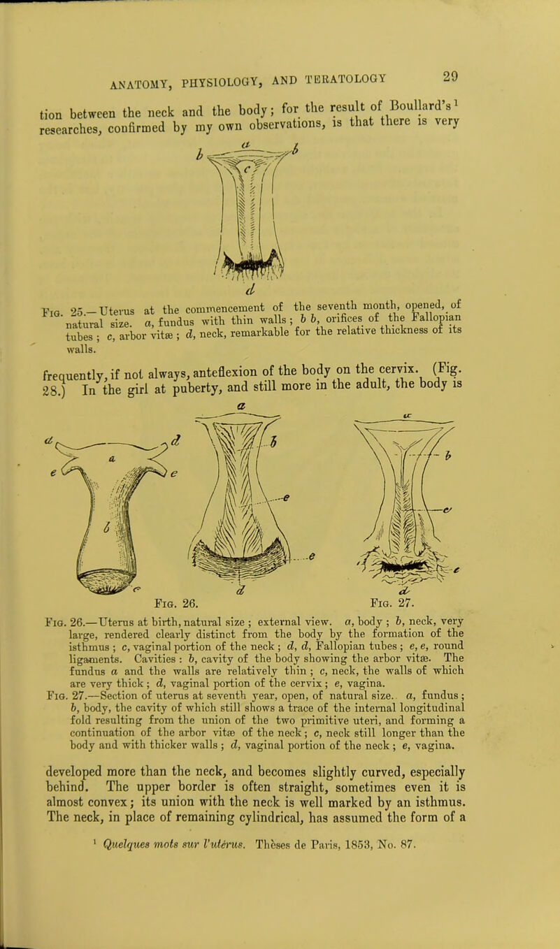 lion between the neck and the body; for the result of Boullard’s> researches, confirmed by my own observations, is that there is very Fig *25.— Uterus at the commencement o£ the seventh month, opened, of natural size. a, fundus with thin walls; b b, orifices of the Fallopian tubes ; c, arbor vital; cl, neck, remarkable for the relative thickness of its walls. frequently, if not always, anteflexion of the body on the cervix. (Fig. 28.) In the girl at puberty, and still more m the adult, the body is a uc Fig. 26.—Uterus at birth, natural size ; external view, a, body ; b, neck, very large, rendered clearly distinct from the body by the formation of the isthmus ; c, vaginal portion of the neck ; d, cl, Fallopian tubes ; e, e, round ligaments. Cavities : b, cavity of the body showing the arbor vitae. The fundus a and the walls are relatively thin ; c, neck, the walls of which are very thick ; d, vaginal portion of the cervix ; e, vagina. Fig. 27.—Section of uterus at seventh year, open, of natural size, a, fundus ; b, body, the cavity of which still shows a trace of the internal longitudinal fold resulting from the union of the two primitive uteri, and forming a continuation of the arbor vitae of the neck; c, neck still longer than the body and with thicker walls ; d, vaginal portion of the neck ; e, vagina. developed more than the neck, and becomes slightly curved, especially behind. The upper border is often straight, sometimes even it is almost convex; its union with the neck is well marked by an isthmus. The neck, in place of remaining cylindrical, has assumed the form of a Quelques mots sur Vuterus. Theses de Paris, 1853, No. 87. 1