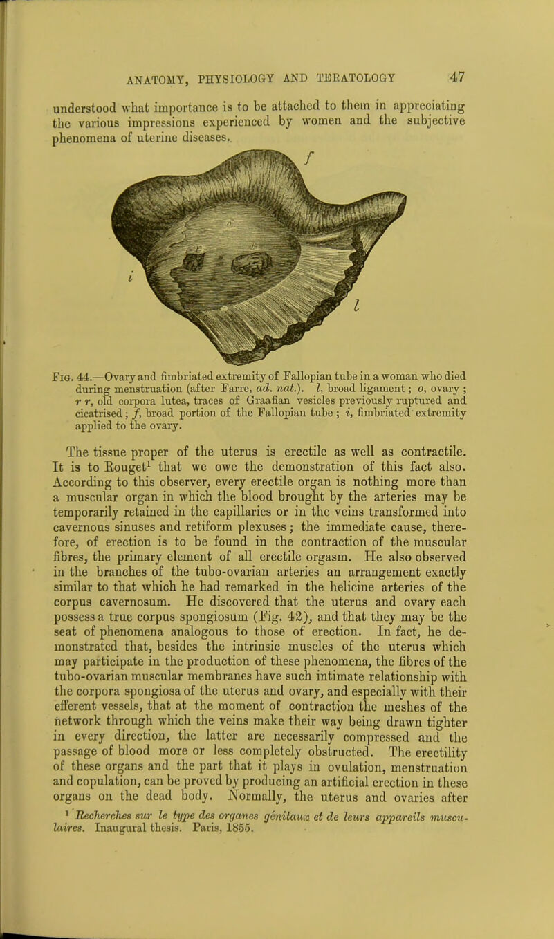 understood what importance is to be attached to them in appreciating the various impressions experienced by women and the subjective phenomena of uterine diseases.. Fig. 44.—Ovary and fimbriated extremity of Fallopian tube in a woman who died during menstruation (after Farre, ad. nat.). I, broad ligament; o, ovary ; r r, old corpora lutea, traces of Graafian vesicles previously ruptured and cicatrised; /, broad portion of the Fallopian tube ; i, fimbriated extremity applied to the ovaiy. The tissue proper of the uterus is erectile as well as contractile. It is to Kouget1 that we owe the demonstration of this fact also. According to this observer, every erectile organ is nothing more than a muscular organ in which the blood brought by the arteries may be temporarily retained in the capillaries or in the veins transformed into cavernous sinuses and retiform plexuses; the immediate cause, there- fore, of erection is to be found in the contraction of the muscular fibres, the primary element of all erectile orgasm. He also observed in the branches of the tubo-ovarian arteries an arrangement exactly similar to that which he had remarked in the helicine arteries of the corpus cavernosum. He discovered that the uterus and ovary each possess a true corpus spongiosum (Fig. 42), and that they may be the seat of phenomena analogous to those of erection. In fact, he de- monstrated that, besides the intrinsic muscles of the uterus which may participate in the production of these phenomena, the fibres of the tubo-ovarian muscular membranes have such intimate relationship with the corpora spongiosa of the uterus and ovary, and especially with their efferent vessels, that at the moment of contraction the meshes of the network through which the veins make their way being drawn tighter in every direction, the latter are necessarily compressed and the passage of blood more or less completely obstructed. The erectility of these organs and the part that it plays in ovulation, menstruation and copulation, can be proved by producing an artificial erection in these organs on the dead body. Normally, the uterus and ovaries after 1 RecJierches sur le type des organes genitaux et de leurs appareils muscu- laires. Inaugural thesis. Paris, 1855.