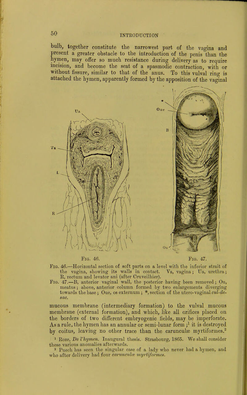 INTRODUCTION bulb, together constitute the narrowest part of the vagina and present a greater obstacle to the introduction of the penis than the hymen, may offer so much resistance during delivery as to require incision, and become the seat of a spasmodic contraction, with or without fissure, similar to that of the anus. To this vulval ring is attached the hymen, apparently formed by the apposition of the vaginal Fig. 40. Fig. 47. Fig. 46.—Horizontal section of soft parts on a level with the inferior strait of the vagina, showing its walls in contact. Ya, vagina; TJa, urethra; R, rectum and levator ani (after Cruveilhier). Fig. 47.—B, anterior vaginal wall, the posteiior having been removed; Ou, meatus; above, anterior column formed by two enlargements diverging towards the base ; Oue, os externum ; *, section of the utero-vaginal cul-de- sac. mucous membrane (intermediary formation) to the vulval mucous membrane (external formation), and which, like all orifices placed on the borders of two different embryogenic fields, may be imperforate. As a rule, the hymen has an annular or semi-lunar form it is destroyed by coitus, leaving no other trace than the carunculte myrtiformes.2 1 Roze, De I’hyvnen. Inaugural thesis. Strasbourg, 1865. We shall consider these various anomalies afterwards. 3 Puech has seen the singular case of a lady who never had a hymen, and who after delivery had four carunculce myrtiformes.