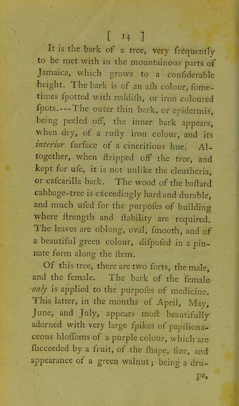 it is the bark of a tree, very frequently to be met with in the mountainous parts of Jamaica, which grows to a confiderable height. The bark is of an afli colour, fome- times fpotted with reddilh, or iron coloured fpots.—The outer thin, bark, or epidermis, being peeled off, the inner bark appears, when dry, of a ru% iron colour, and its i?2terior furface of a cineritious hue. Al- together, when flripped off the tree, and kept for ufe, it is not unlike the eleutheria, or cafcarilla bark. The wood of the baftard cabbage-tree is exceedingly hard and durable, and much ufed for the purpofes of building where ffrength and ffability are required. The leaves are oblong, oval, fmooth, and of a beautiful green colour, difpofed in a pin- nate form along the ffem. Of this tree, there are two forts, the male, and the female. The bark of the female 'Ofily is applied to the purpofes of medicine. This latter, in the months of April, May, June, and July, appears moft beautifully adorned with very large fpikes of papiliona- ceous bloffoms of a purple colour, which are fucceeded by a fruit, of the fhape, fize, and appearance of a green walnut; being a dru- pa.