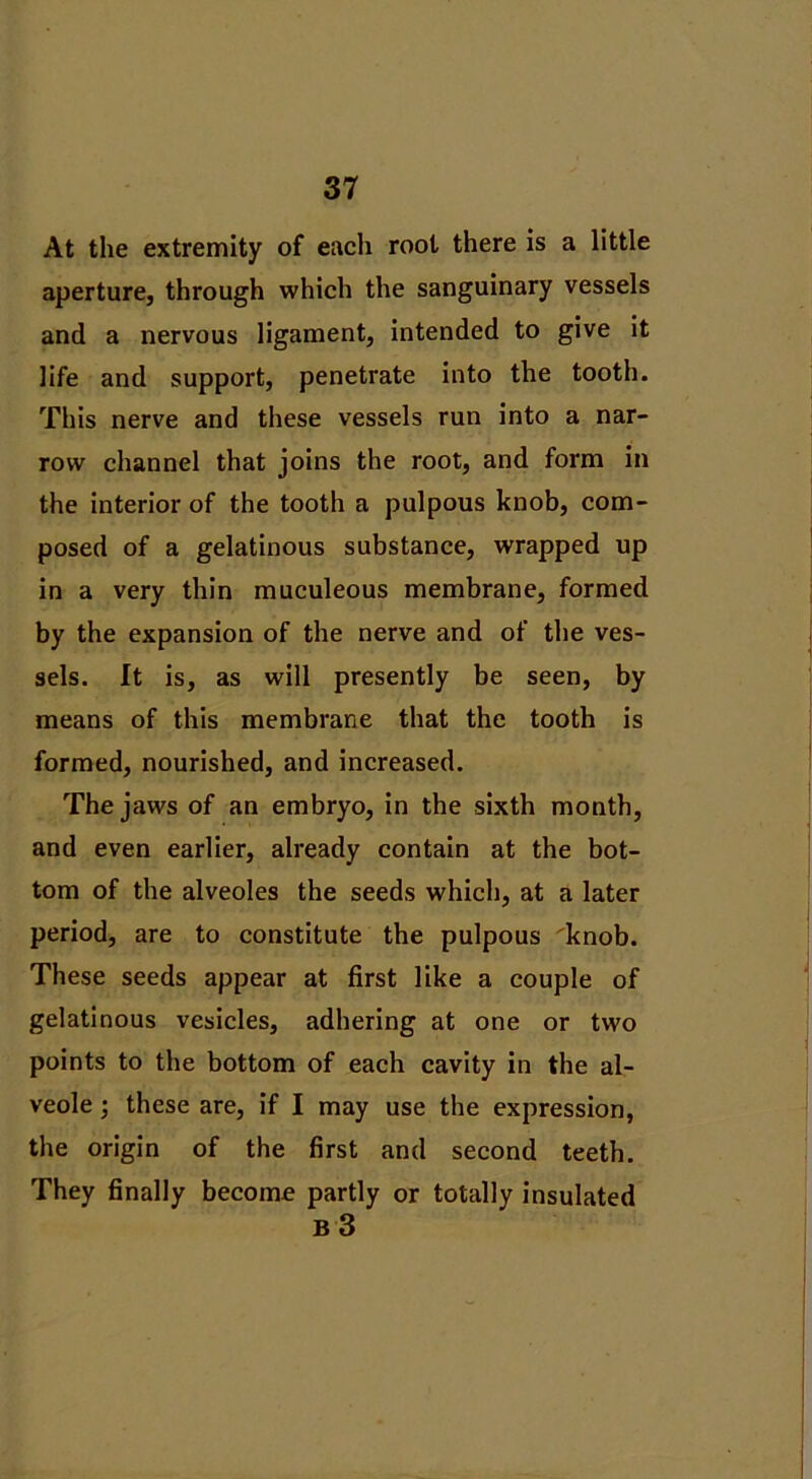 At the extremity of each root there is a little aperture, through which the sanguinary vessels and a nervous ligament, intended to give it life and support, penetrate into the tooth. This nerve and these vessels run into a nar- row channel that joins the root, and form in the interior of the tooth a pulpous knob, com- posed of a gelatinous substance, wrapped up in a very thin muculeous membrane, formed by the expansion of the nerve and of the ves- sels. It is, as will presently be seen, by means of this membrane that the tooth is formed, nourished, and increased. The jaws of an embryo, in the sixth month, and even earlier, already contain at the bot- tom of the alveoles the seeds which, at a later period, are to constitute the pulpous knob. These seeds appear at first like a couple of gelatinous vesicles, adhering at one or two points to the bottom of each cavity in the al- veole ; these are, if I may use the expression, the origin of the first and second teeth. They finally become partly or totally insulated b 3