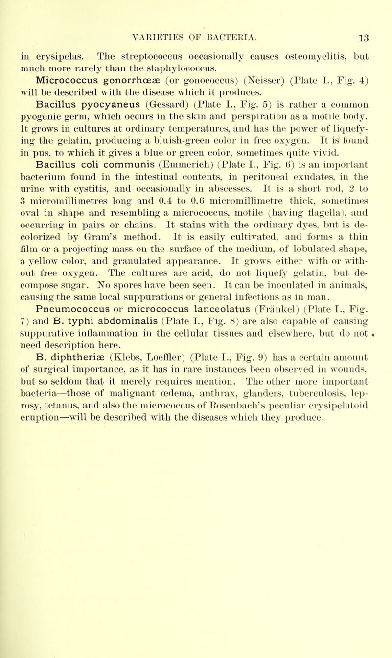 in erysipelas. The streptococcus occasionally causes osteomyelitis, but much more rarely than the staphylococcus. Micrococcus gonorrhoeae (or gonococcus) (Neisser) (Plate L, Fig. 4) will be described with the disease which it produces. Bacillus pyocyaneus (Gessard) (Plate L, Fig. 5) is rather a common pyogenic germ, which occurs in the skin and perspiration as a motile body. It grows in cultures at ordinary temperatures, and has the power of liquefy- ing the gelatin, producing a bluish-green color in free oxygen. It is found in pus, to which it gives a blue or green color, sometimes quite vivid. Bacillus coli communis (Emmerich) (Plate L, Fig. 6) is an important bacterium found in the intestinal contents, in peritoneal exudates, in the urine with cystitis, and occasionally in abscesses. It is a short rod, 2 to 3 mieromillitnetres long and 0.4 to 0.6 micromillimetre thick, sometimes oval in shape and resembling a micrococcus, motile (having flagella), and occurring in pairs or chains. It stains with the ordinary dyes, but is de- colorized by Gram's method. It is easily cultivated, and forms a thin film or a projecting mass on the surface of the medium, of lobulated shape, a yellow color, and granulated appearance. It grows either with or with- out free oxygen. The cultures are acid, do not liquefy gelatin, but de- compose sugar. No spores have been seen. It can be inoculated in animals, causing the same local suppurations or general infections as in man. Pneumococcus or micrococcus lanceolatus (Frankel) (Plate I., Fig. 7) and B. typhi abdominalis (Plate I., Fig. 8) are also capable of causing suppurative inflammation in the cellular tissues and elsewhere, but do not« need description here. B. diphtheriae (Klebs, Loeffler) (Plate I., Fig. 9) has a certain amount of surgical importance, as it has in rare instances been observed in wounds, but so seldom that it merely requires mention. The other more important bacteria—those of malignant oedema, anthrax, glanders, tuberculosis, lep- rosy, tetanus, and also the micrococcus of Eosenbach's peculiar erysipelatoid eruption—will be described with the diseases which they produce.