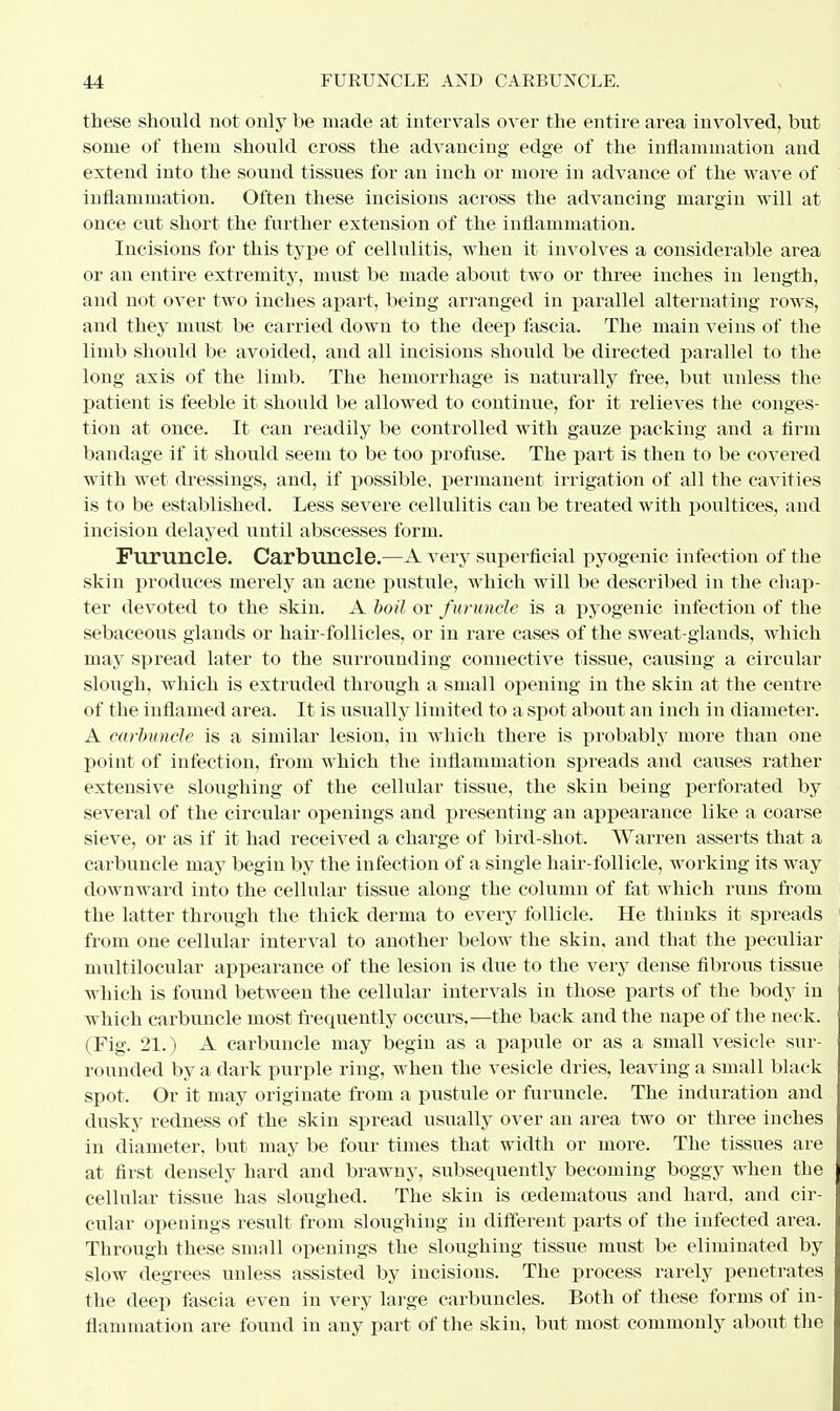 these shcmld not only be made at intervals over the entire area involved, but some of them should cross the advancing edge of the inflammation and extend into the sound tissues for an inch or more in advance of the wave of inflammation. Often these incisions across the advancing margin will at once cut short the further extension of the inflammation. Incisions for this type of cellulitis, when it involves a considerable area or an entire extremity, must be made about two or three inches in length, and not over two inches apart, being arranged in parallel alternating rows, and they must be carried down to the deep fascia. The main veins of the limb should be avoided, and all incisions should be directed parallel to the long axis of the limb. The hemorrhage is naturally free, but unless the patient is feeble it should be allowed to continue, for it relieves the conges- tion at once. It can readily be controlled with gauze packing and a firm bandage if it should seem to be too profuse. The part is theu to be covered with wet dressings, and, if possible, permanent irrigation of all the cavities is to be established. Less severe cellulitis can be treated with poultices, and incision delayed until abscesses form. Furuncle. Carbuncle.—A very superficial pyogenic infection of the skin produces merely an acne pustule, which will be described in the chap- ter devoted to the skin. A boil or furuncle is a pyogenic infection of the sebaceous glands or hair-follicles, or in rare cases of the sweat-glands, which may spread later to the surrounding connective tissue, causing a circular slough, which is extruded through a small opening in the skin at the centre of the inflamed area. It is usually limited to a spot about an inch in diameter. A carbuncle is a similar lesion, in which there is probably more than one point of infection, from which the inflammation spreads and causes rather extensive sloughing of the cellular tissue, the skin being perforated by several of the circular openings and presenting an appearance like a coarse sieve, or as if it had received a charge of bird-shot. Warren asserts that a carbuncle may begin by the infection of a single hair-follicle, working its way downward into the cellular tissue along the column of fat which runs from the latter through the thick derma to every follicle. He thinks it spreads from one cellular interval to another below the skin, and that the peculiar multilocular appearance of the lesion is due to the very dense fibrous tissue which is found between the cellular intervals in those parts of the body in which carbuncle most frequently occurs,—the back and the nape of the neck. (Fig. 21.) A carbuncle may begin as a papule or as a small vesicle sur- rounded by a dark purple ring, when the vesicle dries, leaving a small black spot. Or it may originate from a pustule or furuncle. The induration and dusky redness of the skin spread usually over an area two or three inches in diameter, but may be four times that width or more. The tissues are at first densely hard and brawny, subsequently becoming boggy when the cellular tissue has sloughed. The skin is oedematous and hard, and cir- cular openings result from sloughing in different parts of the infected area. Through these small openings the sloughing tissue must be eliminated by slow degrees unless assisted by incisions. The process rarely penetrates the deep fascia even in very large carbuncles. Both of these forms of in- flammation are found in any part of the skin, but most commonly about the