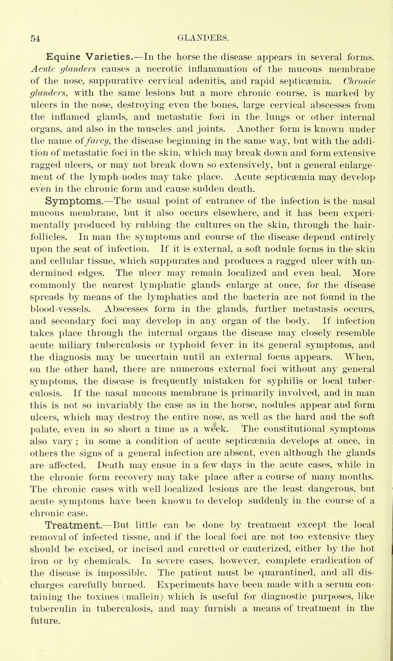 Equine Varieties.—In the horse the disease appears in several forms. Acute glanders causes a necrotic inflammation of the mucous membrane of the nose, suppurative cervical adenitis, and rapid septicaemia. Chronic glanders, with the same lesions but a more chronic course, is marked by ulcers in the nose, destroying even the bones, large cervical abscesses from the inflamed glands, and metastatic foci in the lungs or other internal organs, and also in the muscles and joints. Another form is known under the name of farcy, the disease beginning in the same way, but with the addi- tion of metastatic foci in the skin, which may break down and form extensive ragged ulcers, or may not break down so extensively, but a general enlarge- ment of the lymph-nodes may take place. Acute septicaemia may develop even in the chronic form and cause sudden death. Symptoms.—The usual point of entrance of the infection is the nasal mucous membi-ane, but it also occurs elsewhere, and it has been experi- mentally produced by rubbing the cultures on the skin, through the hair- follicles. In man the symptoms and course of the disease depend entirely upon the seat of infection. If it is external, a soft nodule forms in the skin and cellular tissue, which suppurates and produces a ragged ulcer with un- dermined edges. The ulcer may remain localized and even heal. More commonly the nearest lymphatic glands enlarge at once, for the disease spreads by means of the lymphatics and the bacteria are not found in the blood-vessels. Abscesses form in the glands, further metastasis occurs, and secondary foci may develop in any organ of the body. If infection takes place through the internal organs the disease may closely resemble acute miliary tuberculosis or typhoid fever in its general symptoms, and the diagnosis may be uncertain until an external focus appears. When, on the other hand, there are numerous external foci without any general symptoms, the disease is frequently mistaken for syphilis or local tuber- culosis. If the nasal mucous membrane is primarily involved, and in man this is not so invariably the case as in the horse, nodules appear and form ulcers, which may destroy the entire nose, as well as the hard and the soft palate, even in so short a time as a week. The constitutional symptoms also vary ; in some a condition of acute septicaemia develops at once, in others the signs of a general infection are absent, even although the glands are affected. Death may ensue in a few days in the acute cases, while in the chronic form recovery may take place after a course of many months. The chronic cases with well-localized lesions are the least dangerous, but acute symptoms have been known to develop suddenly in the course of a chronic case. Treatment.—But little can be done by treatment except the local removal of infected tissue, and if the local foci are not too extensive they should be excised, or incised and curetted or cauterized, either by the hot iron or by chemicals. In severe cases, however, complete eradication of the disease is impossible. The patient must be quarantined, and all dis- charges carefully burned. Experiments have been made with a serum con- taining the toxines (mallein) which is useful for diagnostic purposes, like tuberculin in tuberculosis, and may furnish a means of treatment in the future.