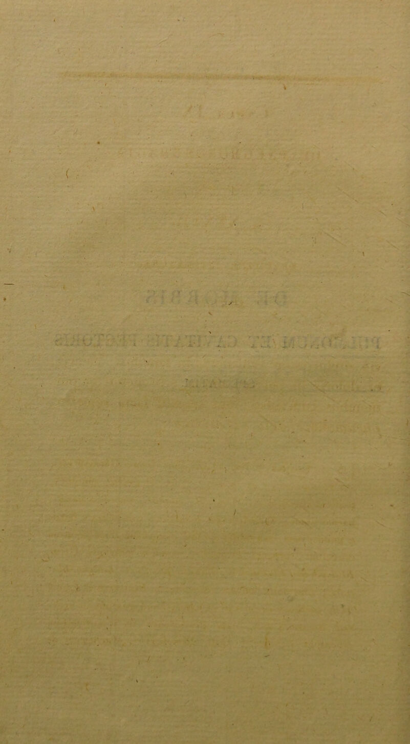 J 1. \ * i c. fc / l < ) » ‘ I • /