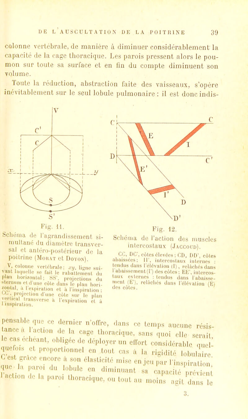 colonne verlobrale, de manière à diminuer considérablement la capacité de la cage thoracique. Les parois pressent alors le pou- mon sur toute sa surface et en fm du compte diminuent son volume. loute la réduction, abstraction faite des vaisseaux, s’opère inévitablement sur le seul lobule pulmonaire : il est doncindis- Fig, 11. Sclièrna do l'agi-andisseiiient si- multané (lu dianuHrc Lcansver- sal et antéivj-postérieui- do la poili'ine (Moiiat et Doyon). coloiiUG voricljrjile ; •l'y, li[^no sui- vant l.-i,(uclle se (ail le raldtloincnt du pian lionzoutal; S.S'. luojections du sluniuin etd une côte dans le plan liori- zontal, a I expication et à l'inspii-ation ; LL . projechon d'une côte sur le plan vçrlical Iransversc à l’expiration et à 1 inspiration. Fig. 12. Sebema do l’action des muscles intercostaux (J.accoü'd). CC, DC, côtes (ilevées ; CD, DD’, côtes abais.sôes: II', intercostau.x interuos ■ tendus dans riiMyation (I), relàcli(5s dans 1 abaissement (!’) des côles ; EE’, intercos- taux externes : tendus dans rabaisse- ment (E'), rclâcliiis dans l'éléxation (El (les cotes. ^ pensable que ce dernier n’offre, dans ce temps aucune résis- ancod action de la cage llioracique. sans (pioi elle serait le casecbeant, ol.ligée de déployer un elfort considérable quel- que o,.s et proportionnel en tout cas à b, rigidité lobul'tiro G est grdco encore à son élasticité mise enjeu par Finspiralion’ ' I'' 11'»™,'MIC moins agil Jnns le