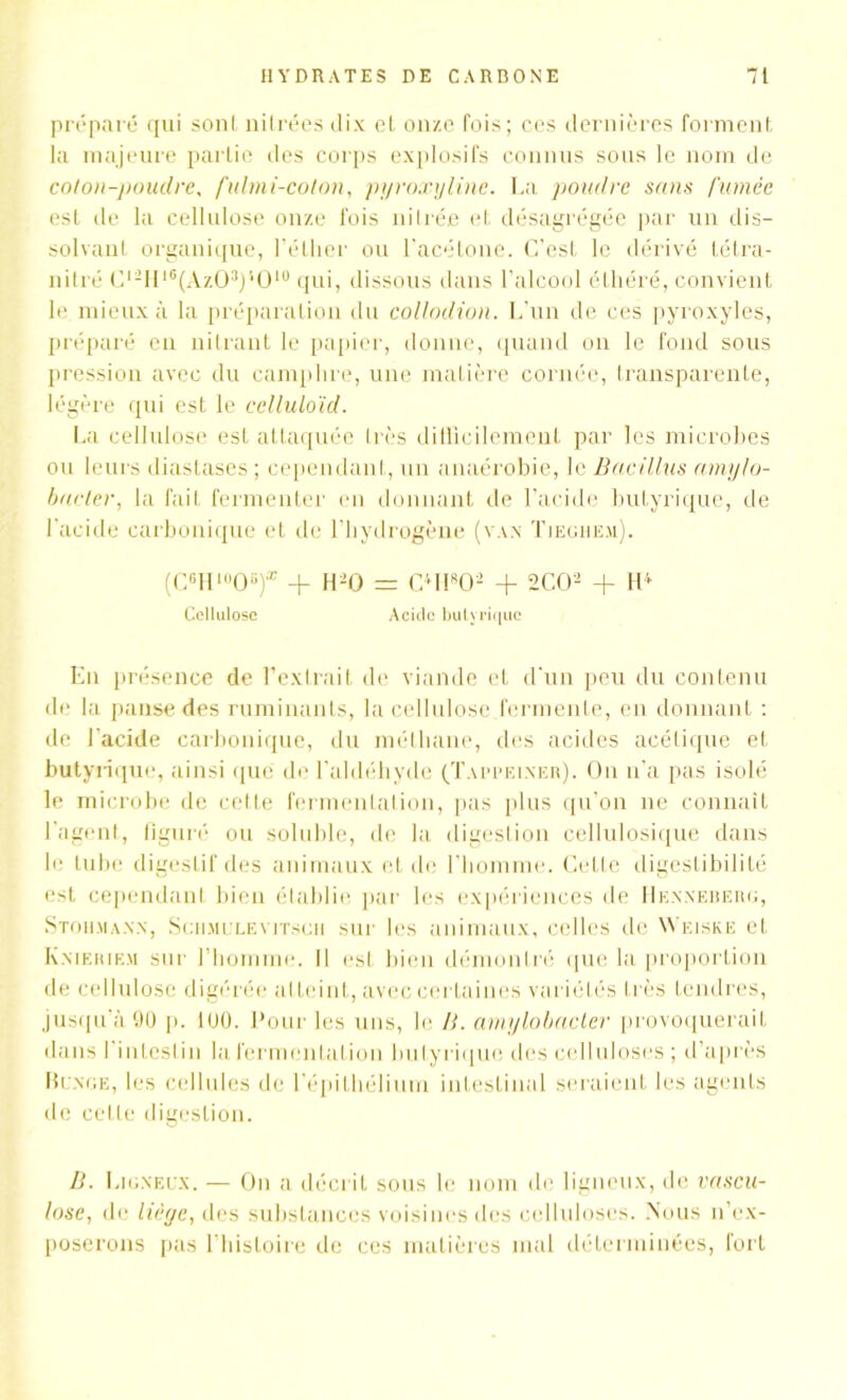 préparé qui sont nilrées dix el onze fois; ces dernières forment la majeure partie des corps explosifs connus sous le nom de coton-poudre, fulmi-colon, pyroxyline. La poudre sans fumée est de la cellulose onze fois mirée et désagrégée par un dis- solvant organique, l’éther ou l’acétone. C’est le dérivé tétra- nitré Cl2Hl6(Az03)'*0lu qui, dissous dans l’alcool éthéré, convient le mieux à la préparation du collodion. L’un de ces pyroxyles, préparé en nilrant le papier, donne, quand on le fond sous pression avec du camphre, une matière cornée, transparente, légère qui est le celluloïd. La cellulose est attaquée très difficilement par les microbes ou leurs diastases ; cependant, un anaérobie, le Bacillus amylo- bacter, la fait fermenter en donnant de l’acide butyrique, de l’acide carbonique et de l’hydrogène (van Tiegiiem). (C6H10OB)* + H20 = CHI802 + 2C02 + H4 Cellulose Acide butyrique En présence de l’extrait de viande et d’un peu du contenu de la panse des ruminants, la cellulose fermente, en donnant : de l’acide carbonique, du méthane, des acides acétique et butyrique, ainsi que de l’aldéhyde (Tappeiner). On n’a pas isolé le microbe de cette fermentation, pas plus qu’on ne connaît l’agent, figuré ou soluble, de la digestion cellulosique dans le tube digestif des animaux et de l’homme. Cette digestibilité est cependant bien établie par les expériences de Henneberg, Stohmann, Sciimulevitsch sur les animaux, celles de Wejsee et Kmeriem sur l’homme. Il est bien démontré que la proportion de cellulose digérée atteint, avec certaines variétés 1res tendres, jusqu'à 90 p. 100. Pour les uns, le IL amylobacler provoquerait dans l’intestin la fermentation butyrique des celluloses ; d’après Bunge, les cellules de l'épithélium intestinal seraient les agents de cette digestion. B. Ligneux. — On a décrit sous le nom de ligneux, de vascu- lose, de liège, des substances voisines des celluloses. Nous n’ex- poserons pas l’histoire de ces matières mal déterminées, fort