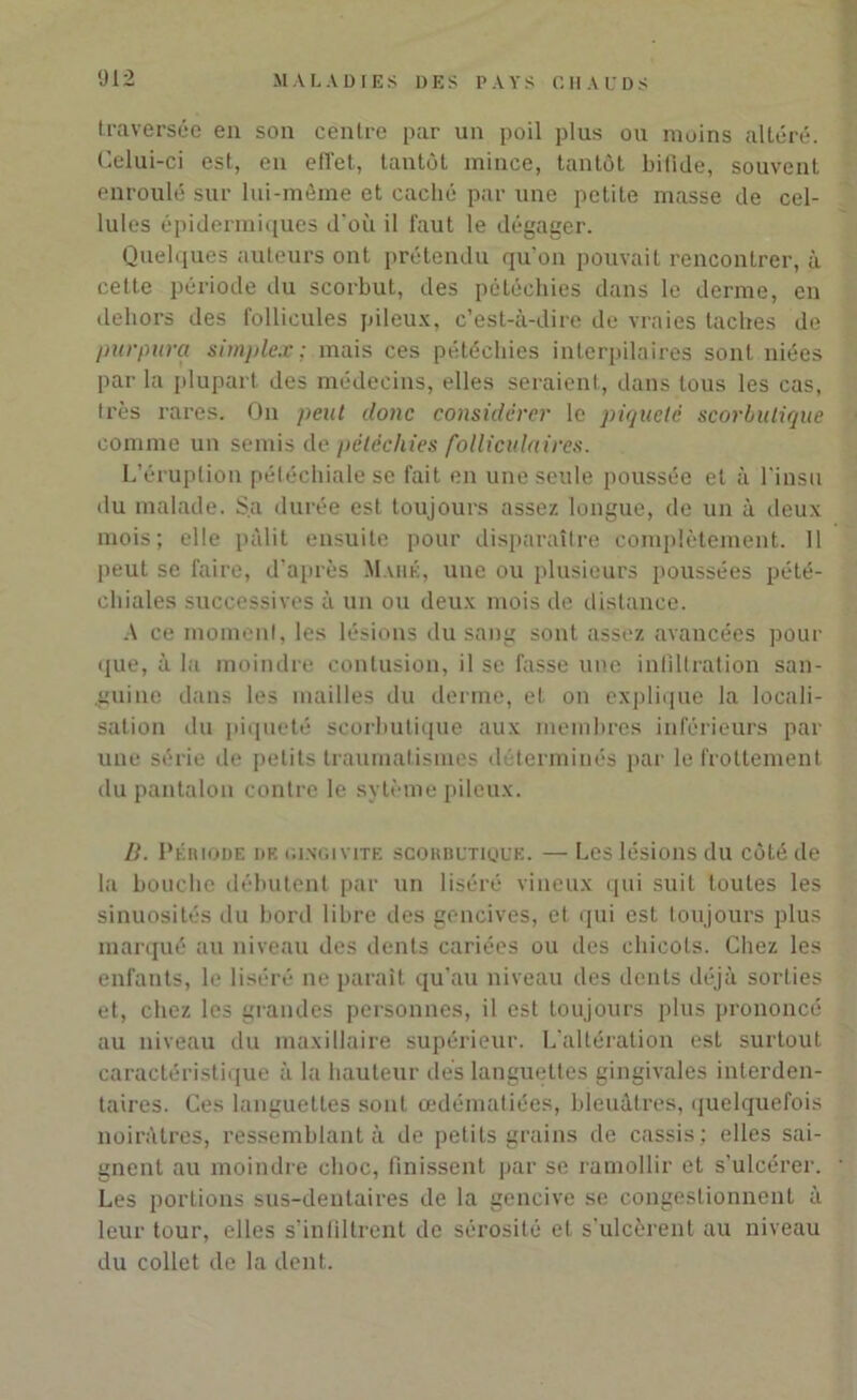 traversée en son centre par un poil plus ou moins altéré. Celui-ci est, en effet, tantôt mince, tantôt bifide, souvent enroulé sur lui-même et caché par une petite masse de cel- lules épidermiques d'où il faut le dégager. Quelques auteurs ont prétendu qu'on pouvait rencontrer, à cette période du scorbut, des pétéchies dans le derme, en dehors des follicules pileux, c’est-à-dire de vraies taches de purpura simplex; mais ces pétéchies interpilaires sont niées par la plupart des médecins, elles seraient, dans tous les cas, très rares. On peut donc considérer le piqueté scorbutique comme un semis de pétéchies folliculaires. L’éruption pétéchiale se fait en une seule poussée et à l'insu du malade. Sa durée est toujours assez longue, de un à deux mois; elle pâlit ensuite pour disparaître complètement. Il peut se faire, d’après M uté, une ou plusieurs poussées pété- chiales successives à un ou deux mois de distance. A ce moment, les lésions du sang sont assez avancées pour que, à la moindre contusion, il se fasse une infiltration san- .guine dans les mailles du derme, et on explique la locali- sation du piqueté scorbutique aux membres inférieurs par une série de petits traumatismes d terminés par le frottement du pantalon contre le sytème pileux. B. Période de gingivite scorbutique. — Les lésions du côté de la bouche débutent par un liséré vineux qui suit toutes les sinuosités du bord libre des gencives, et qui est toujours plus marqué au niveau des dents cariées ou des chicots. Chez les enfants, le liséré ne paraît qu’au niveau des dents déjà sorties et, chez les grandes personnes, il est toujours plus prononcé au niveau du maxillaire supérieur. L’altération est surtout caractéristique à la hauteur dés languettes gingivales inlerden- taires. Ces languettes sont œdématiées, bleuâtres, quelquefois noirâtres, ressemblant à de petits grains de cassis; elles sai- gnent au moindre choc, finissent par se ramollir et s’ulcérer. Les portions sus-dentaires de la gencive se congestionnent à leur tour, elles s’infiltrent de sérosité et s’ulcèrent au niveau du collet de la dent.