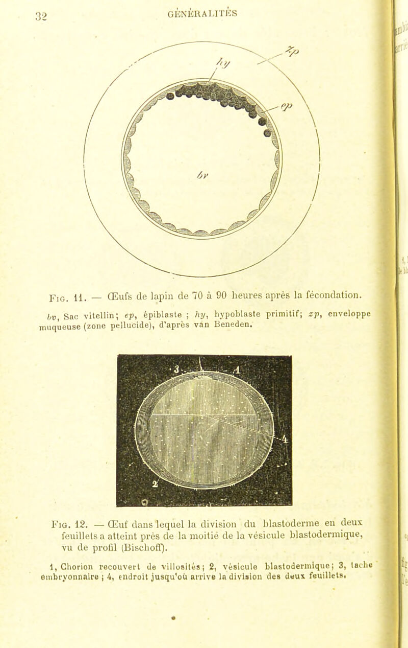 GIÏNKRAUTIÎS Fio. 11. — Œufs de lapin de 70 à 90 heures après la fécondation. bv, Sac vitellin; ep, épiblaste ; hy, hypoblaste primitif; gp, enveloppe muqueuse (zone pellucide), d'après van Beneden. Fig. 12. — Œuf dans lequel la division du blastoderme en deux feuillets a atteint près de la moitié de la vésicule blastodermique, vu de profil (BischofT). 1, Chorion recouvert de villoBilés; 2, vésicule blastodermique; 3, tache embryonnaire ; 4, endroit jusqu'où arrive la division des deux feuilletai