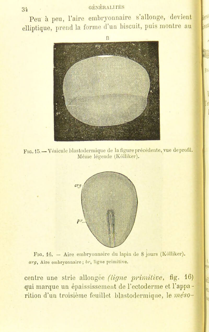 Peu à peu, l'aire embryonnaire s'allonge, devient elliptique, prend la forme d'un biscuit, puis montre au n Pjq, 15. Vésicule blastoclermique de la figure précédente, vue de profil. Même légende (Kolliker). pr_l Fig. 16. — Aire embryonnaire du lapin de 8 jours (Kôlliker). arg, Aire embryonnaire ; !))•, ligne primitive. centre une strie allongée (ligne primitive, fig. 16) qui marque un épaississement de l'ectoderme et l'appa- rition d'un troisième feuillet blastodermiqne, le méso-