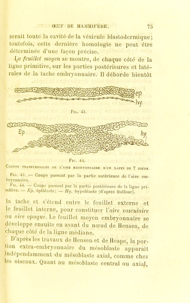 serait toute la cavité de la vésicule blastodermique; loulefois, cette dernière horaologie ne peut être déterminée d'une façon précise. Le feuillet moyen se montre, de chaque côté de la ligne primitive, sur les parties postérieures et laté- rales de la tache embryonnaire. Il déborde bientôt .II!'' Fin. 44. CODPES Tn,l!(3VEI\3ALES DE l'aiRE BSlimYONNAIBE d'uN LAPIN DE 7 JOOnS. FiG. 43. — Coupe passant par la partie antérieure de l'aire em- bryonnaire. tia. a. — Cnupe passant par la partie postérieure de la ligue pri- mitive. — Ep, épiblaste; — Hy, liypoblaste (d'après Dalfour). la tache et s'étend entre le feuillet externe et le feuillet interne, pour constituer Vaire vasculaire ou aire opaque. Le feuillet moyen embryonnaire se développe ensuite en avant du nœud de Hensen, de chaque côté de la ligne médiane. D'après les travaux de Hensen et de Heape, la por- tion extra-embryonnaire du mésoblaste apparaît indépendamment du mésoblaste axial, comme chez les oiseaux. Quant au mésoblaste central ou axial,