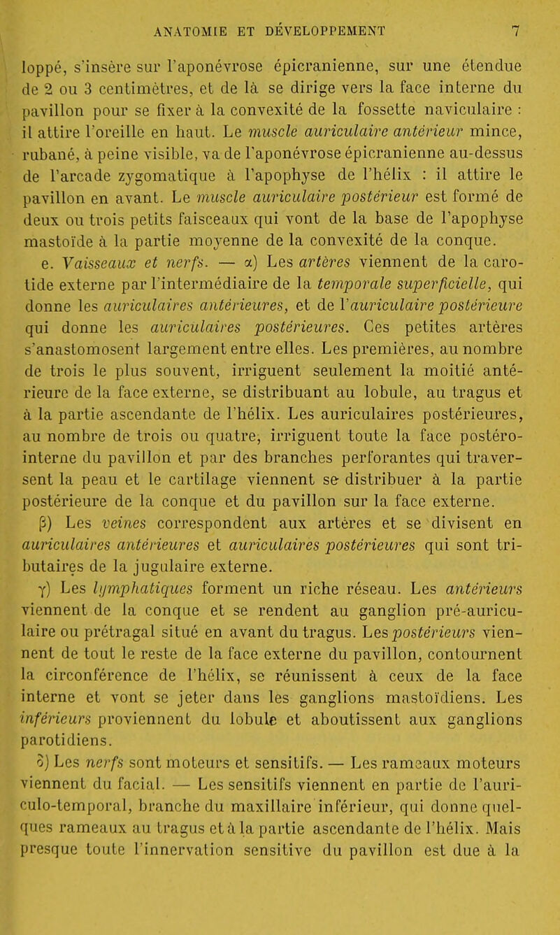 loppé, s'insère sur l'aponévrose épicranienne, sur une étendue de 2 ou 3 centimètres, et de là se dirige vers la face interne du pavillon pour se fixer à la convexité de la fossette naviculaire : il attire l'oreille en haut. Le muscle auriculaire antérieur mince, rubané, à peine visible, va de l'aponévrose épicranienne au-dessus de l'arcade zygomatique à l'apophyse de l'hélix : il attire le pavillon en avant. Le muscle auriculaire postérieur est formé de deux ou trois petits faisceaux qui vont de la base de l'apophyse mastoïde à la partie moyenne de la convexité de la conque. e. Vaisseaux et nerfs. — a) Les artères viennent de la caro- tide externe par l'intermédiaire de la temporale superficielle, qui donne les auriculaires antérieures, et de l'auriculaire postérieure qui donne les auriculaires postérieures. Ces petites artères s'anastomosent largement entre elles. Les premières, au nombre de trois le plus souvent, irriguent seulement la moitié anté- rieure de la face externe, se distribuant au lobule, au tragus et à la partie ascendante de l'hélix. Les auriculaires postérieures, au nombre de trois ou quatre, irriguent toute la face postéro- interne du pavillon et par des branches perforantes qui traver- sent la peau et le cartilage viennent se distribuer à la partie postérieure de la conque et du pavillon sur la face externe. |3) Les veines correspondent aux artères et se divisent en auriculaires antérieures et auriculaires postérieures qui sont tri- butaires de la jugulaire externe. y) Les lymphatiques forment un riche réseau. Les antérieurs viennent de la conque et se rendent au ganglion pré-auricu- laire ou prétragal situé en avant du tragus. Les postérieurs vien- nent de tout le reste de la face externe du pavillon, contournent la circonférence de l'hélix, se réunissent à ceux de la face interne et vont se jeter dans les ganglions mastoïdiens. Les inférieurs proviennent du lobule et aboutissent aux ganglions parotidiens. 8) Les nerfs sont moteurs et sensitifs. — Les rameaux moteurs viennent du facial. — Les sensitifs viennent en partie de l'auri- culo-temporal, branche du maxillaire inférieur, qui donne quel- ques rameaux au tragus étala partie ascendante de l'hélix. Mais presque toute l'innervation sensitive du pavillon est due à la