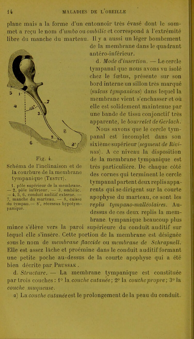 plane mais a la forme d'un entonnoir très évasé dont le som- met a reçu le nom d'umbo ou ombilic et correspond à l'extrémité libre du manche du marteau. Il y a aussi un léger bombement de la membrane dans le quadrant antéro-inférieur. d. Mode d'insertion. — Le cercle tympanal que nous avons vu isolé chez le fœtus, présente sur son bord interne un sillon très marqué (sulcus tympanicus) dans lequel la membrane vient s'enchâsser et où elle est solidement maintenue par une bande de tissu conjonctif très apparente, le bourrelet de Gerlach. Nous savons que le cercle tym- panal est incomplet dans son sixième supérieur {segment de Rivi- nus). A ce niveau la disposition de la membrane tympanique est très particulière. De chaque côté des cornes qui terminent le cercle tympanal partent deux replis appa- rents qui se dirigent sur la courte apophyse du marteau, ce sont les replis tympano-malléolaires. Au- dessus de ces deux replis la mem- brane tympanique beaucoup plus mince s'élève vers la paroi supérieure du conduit auditif sur lequel elle s'insère. Cette portion de la membrane est désignée sous le nom de membrane flaccide ou membrane de Schrapncll. Elle est assez lâche et proémine dans le conduit auditif formant une petite poche au-dessus de la courte apophyse qui a été bien décrite par Prussak . d. Structure. — La membrane tympanique est constituée par trois couches : 1° la couche cutanée; 2° la couche propre ; 3° la couche muqueuse, a) La. couche cutanceest le prolongement de la peau du conduit. Fig. 4. Schéma de l'inclinaison et de la courbure de la membrane tympanique (Testut). 1. pôle supérieur de la membrane. — 2, pôle inférieur. — 3. ombilic. — 4, 5, G, conduit auditif externe. — 7, manche du marteau. — 8, caisse flu tympan.— 8', récessus hypotym- panique.