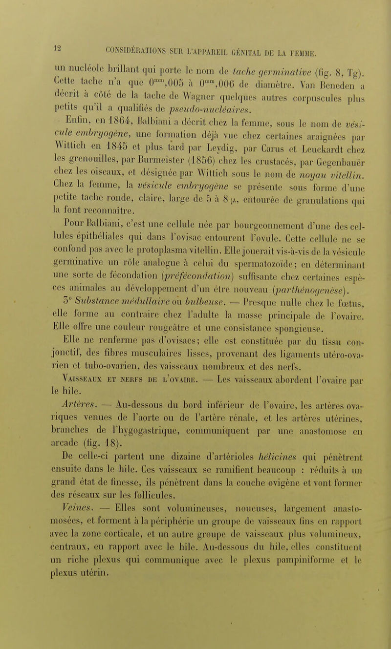 ii nucléole brillanl qui porte le nom de tache germinative (fig. 8, Tg) Cette tache n'a que 0,005 à 0fflm,006 de diamètre. Van Beneden a décrit à côté do la tache de Wagner quelques autres corpuscules plus petits qu'il a qualifiés de pseudo-nucléaires. Enfui, en 1864, Balbiani a décrit chez la femme, sous le nom de vési- cule embryogène, une formation déjà vue chez certaines araignées par Wittich en 1845 et plus tard par Leydig, par Garus et Leuckardl . liez les grenouilles, par Burmeister (1856) chez les crustacés, par Gegenbauèr •'liez les oiseaux, et désignée par Wittich sous le nom ,1e noyau vitellin. Chez la femme, la vésicule embryogène se présente sous forme d'une petite tache ronde, claire, large de 5 h 8 y., entourée de granulations qui la font reconnaître. Pour Balbiani, c'est une cellule née par bourgeonnement d'une des cel- lules épithéliales qui dans l'ovisac entourent l'ovule. Cette cellule ne se confond pas avec le protoplasma vitellin. Elle jouerait vis-à-vis de la vésicule germinative un rôle analogue à celui du spermatozoïde; en déterminant une sorte de fécondation {préfécondation) suffisante chez certaines espè- ces animales au développement d'un être nouveau (parthénogenèse). 5° Substance médullaire ou bulbeuse. — Presque nulle chez le fœtus, elle forme au contraire cliez l'adulte la niasse principale de l'ovaire. Elle offre une couleur rougeâtre et une consistance spongieuse. Elle ne renferme pas d'ovisacs; elle est constituée par du tissu con- jonctif, des fibres musculaires lisses, provenant des ligaments uléro-ova- rien et tubo-ovarien, des vaisseaux nombreux et des nerfs. Vaisseaux et nerfs de l'ovaire. — Les vaisseaux abordent l'ovaire par le hile. Artères. — Au-dessous du bord inférieur de l'ovaire, les artères ova- riques venues de l'aorte ou de l'artère rénale, et les artères utérines, branches de l'hygogastriquc, communiquent par une anastomose en arcade (fig. 18). De celle-ci partent une dizaine d'artérioles hélicines qui pénètrent ensuite dans le hile. Ces vaisseaux se ramifient beaucoup : réduits à un grand état de finesse, ils pénètrent dans la couche ovigène et vont former des réseaux sur les follicules. Veines. — Elles sont volumineuses, noueuses, largement anasto- mosées, et forment à la périphérie un groupe de vaisseaux lins en rapport avec la zone corticale, et un autre groupe de vaisseaux plus volumineux, centraux, en rapport avec le hile. Au-dessous du hile, elles constituent un riche plexus qui communique avec le plexus pampiniforme et le plexus utérin.