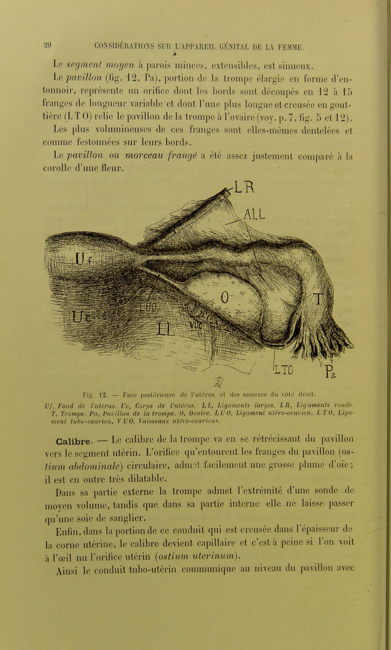à Le segment moyen à parois minces, extensibles, est sinueux. Le pavillon (fig. 12, Pa), portion de la trompe élargie en forme d'en- tonnoir, représente an orifice dont les bords sont découpés en 12 à 15 franges de longueur variable et dont l'une plus longue et creusée en gout- tière (LT 0) relie le pavillon de la trompe à l'ovaire (vnv. p.7, fig. 5 et I 2). Les plus volumineuses de ces franges sont elles-mêmes dentelées el comme festonnées sur leurs bords. Le pavillon ou morceau frangé a été assez, justement comparé à la corolle d'une fleur. Fig. 12. — Face postérieure de L'utérus et des annexes du côté droit. Uf, Fond de l'utérus. Uc, Corps de l'utérus. L L, Ligaments larges. LR, Ligaments ronds. T, Trompe. l'a, Pavillon de la trompe. 0, Ovaire. LUO, Ligament utéro-ovarien. LTO, Liga- ment tubo-ovarien. Y UO, Vaisseaux ulèro-ovariens. Calibre. — Le calibre de la trompe va en se rétrécissant du pavillon vers le segment utérin. L'orifice qu'entourent les franges du pavillon (os- tiinii abdominale) circulaire, admst facilement une grosse plume d'oie: il est en outre très dilatable. Dans sa partie externe la trompe admet l'extrémité d'une sonde de moyen volume, tandis que dans sa partie interne elle ne laisse passer qu'une soie de sanglier. Enfin, dans la portion de ce conduit qui est creusée dans l'épaisseur de la corne utérine, le calibre devient capillaire et c'est à peine si l'on voit à l'œil nu l'orifice utérin (ostimn uterinum). Ainsi le conduit tubo-utérin communique au niveau du pavillon avec