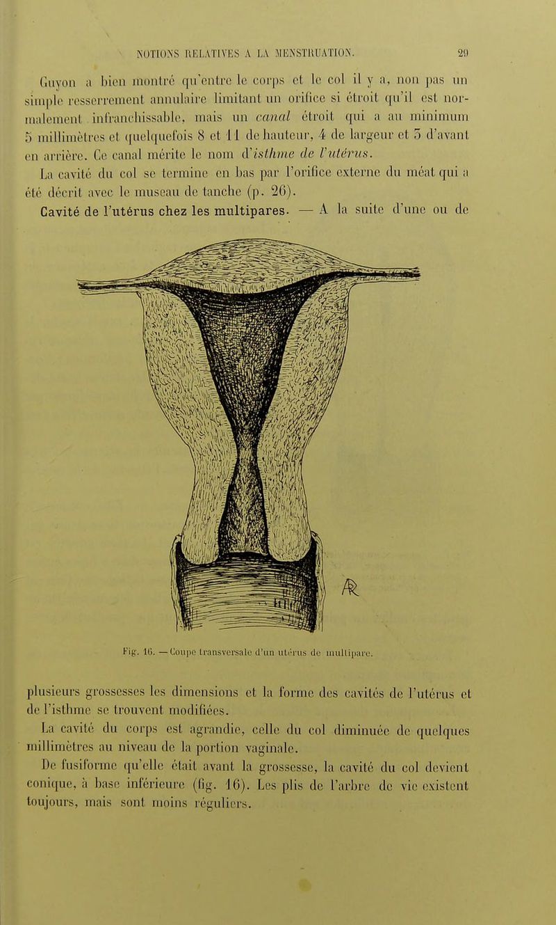 Guyon a bien montré qu'entre le corps et le col il y a, non pus un simple resserrement annulaire limitant un orifice si étroit qu'il est nor- malement infranchissable, mais un canal étroit qui a an minimum 5 millimètres et quelquefois 8 et 11 de hauteur, 4 de largeur et 5 d'avant en arrière. Ce canal mérite le nom iïisthme de l'utérus. La cavité du col se termine en lias par l'orifice externe du méat qui a élé décrit avec le museau de tanche (p. 26). Cavité de l'utérus chez les multipares. — A la suite d'une ou de Fig. K>. —Coupe transversale d'un utérus de multipare. plusieurs grossesses les dimensions et la l'orme des cavités de l'utérus et de l'isthme se trouvent modifiées. La cavité du corps est agrandie, celle du col diminuée de quelques millimètres au niveau de la portion vaginale. De fusiforme qu'elle étail avant la grossesse, la cavité du col devient conique, à hase inférieure (fig. 16). Les plis de l'arbre de vie existent toujours, mais sonl moins réguliers.