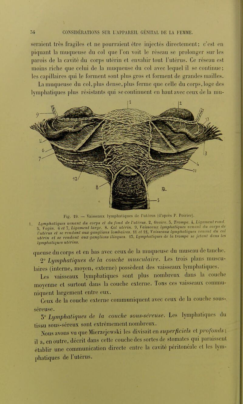 seraient très fragiles et ne pourraient être injectés directement; c'est en piquant la muqueuse du col que l'on voit le réseau se prolonger sur les parois de la cavité du corps utérin et envahir tout l'utérus. Ce réseau es! moins riche que celui de la muqueuse du col avec lequel il se continue; les capillaires qui le forment sont plus gros et forment de grandes mailles. La muqueuse du col, plus dense, plus ferme que celle du corps, loge des lymphatiques plus résistants qui se continuent en haut avec ceux de la mu- Fig. 19. — Vaisseaux lymphatiques de l'utérus (d'après 1'. Poirier). I Lymphatiques venant du corps et du fond de. l'utérus. 2, Ovaire. 5, Trompe. 4, Ligament rond. 5, Vagin. Cet 7, Ligament large. 8, Col utérin. 9, Vaisseaux lymphatiques venant du corps tic l'utérus et se rendant aux ganglions lombaires. 11 et 12, Vaisseaux lymphatiques venant du col utérin et se rendant aux ganglions iliaques. 15, Lymphatiques de la trompe se jetant dans les lymphatiques utérins. (pieuse du corps et en bas avec ceux de la muqueuse du museau de tanche. 2° Lymphatiques de la couche musculaire. Les trois plans muscu- laires (interne, moyen, externe) possèdent des vaisseaux lymphatiques. Les vaisseaux lymphatiques sont plus nombreux dans la couche moyenne et surtout dans la couche externe. Tous ces vaisseaux commu- niquent largement entre eux. Ceux de la couche externe communiquent avec ceux de la couche sous- séreuse. 3° Lymphatiques de la couche sous-séreûse. Les lymphatiques du tissu sous-séreux sont extrêmement nombreux. Nous avons vu que Micrzejewski les divisait en superficiels et profonds : il a, en outre, décrit dans cette couche des sortes de stomates qui paraissent établir une communication directe entre la cavité péiïtonéale et les lym- phatiques de l'utérus.