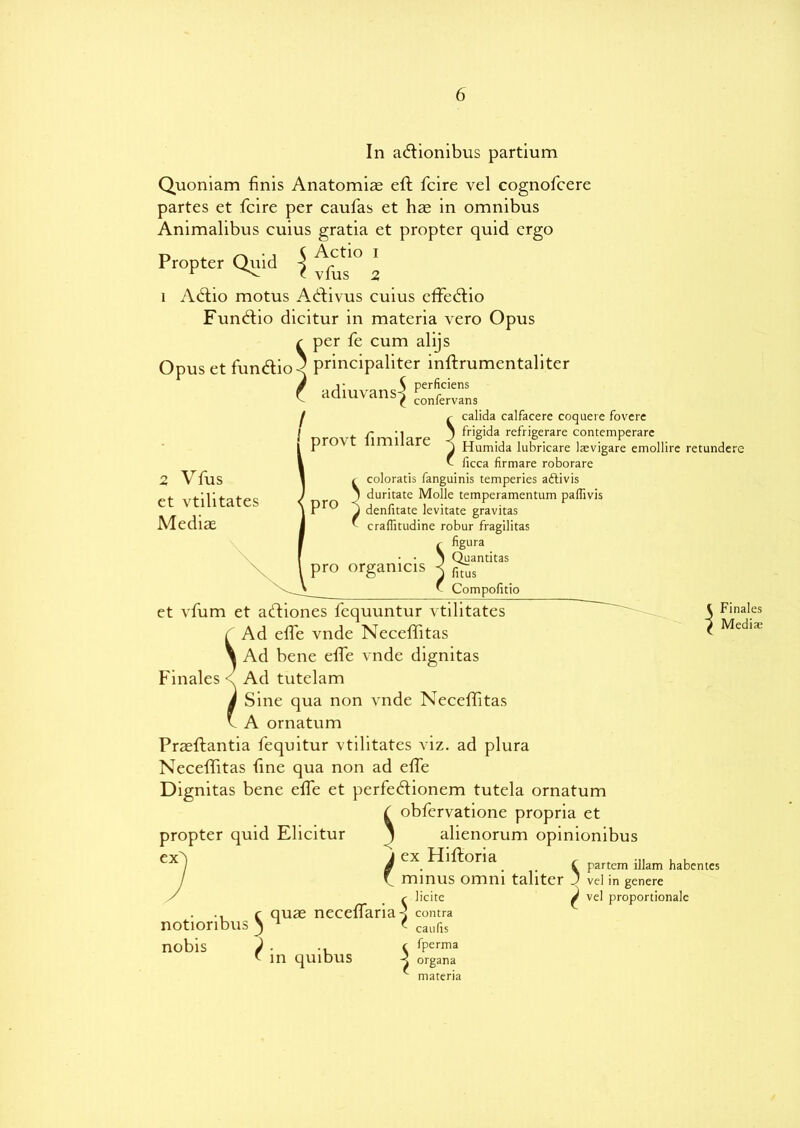 6 In aftionibus partium Quoniam finis Anatomise eft fcire vel cognofcere partes et fcire per caufas et has in omnibus Animalibus cuius gratia et propter quid ergo Propter Quid \ Actio i r t V1US 2 1 Atftio motus Atftivus cuius effeftio Funcftio dicitur in materia vero Opus r per fe cum alijs Opus et funftioq principaliter inftrumentaliter / i- S perficiens ' adiuvans^ cponfervan5 I r calida calfacere coquere fovere I . r • i ) frigida refrigerare contemperarc f provt limilare J --b r 2 Vfus et vtilitates Mediae pro pro Humida lubricare laevigare emollire retundere C ficca firmare roborare Scoloratis fanguinis temperies aftivis duritate Molle temperamentum paffivis J denfitate levitate gravitas ' craflitudine robur fragilitas ^ figura \ Quandtas organicis j £-us r Compofitio et vfum et aftiones fcquuntur vtilitates i Ad efte vnde Neceflitas \ Ad bene efte vnde dignitas Finales < Ad tutclam i Sine qua non vnde Neceflitas v A ornatum Praeftantia fequitur vtilitates viz. ad plura Neceflitas fine qua non ad efle Dignitas bene efte et perfeftionem tutela ornatum ( obfervatione propria et Finales Mediae propter quid Ehcitur ex} J alienorum opinionibus j ex Hiftoria r , , S . \ partem lilam habentes f minus omm taliter J vel in genere notioribu- nobis ^ quse neceftaria-^ ^ in quibus ^ licite contra caufis fperma organa materia ^ vel proportionale