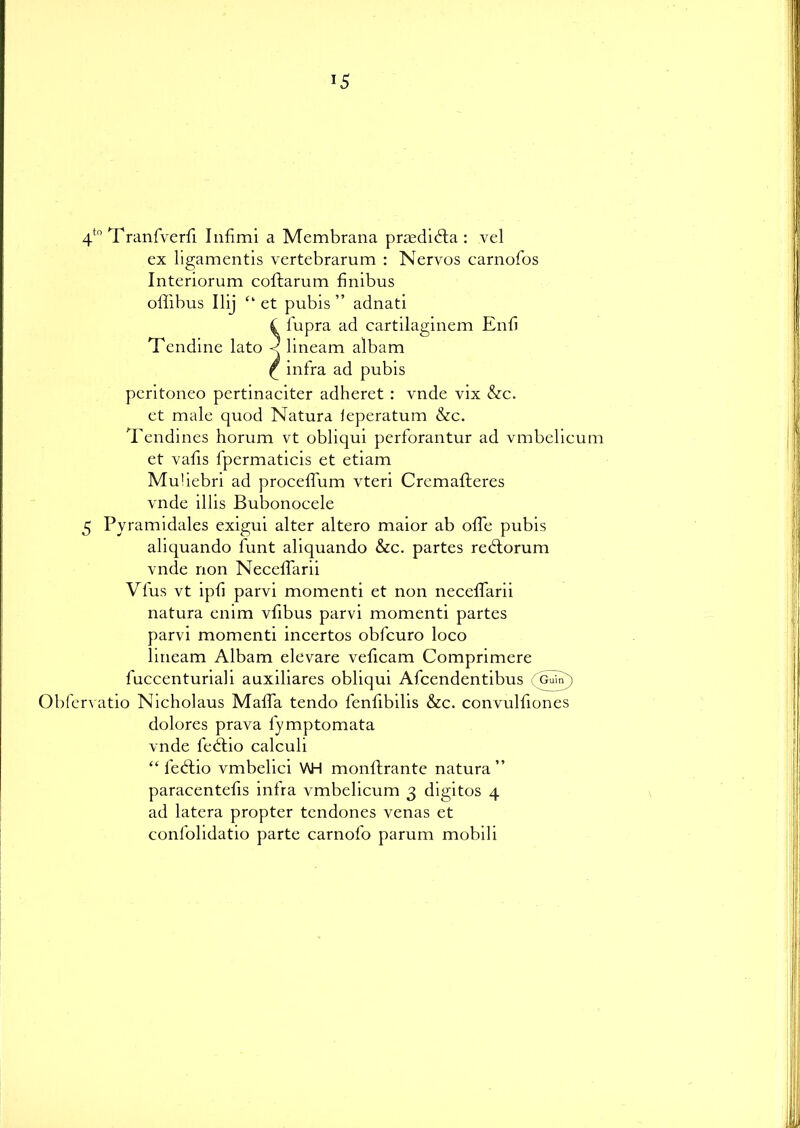 *5 4t0 Tranfverd Indmi a Membrana praedibta : vel ex ligamentis vertebrarum : Nerves carnofos Interiorum coftarum finibus offibus Ilij “ et pubis ” adnati £ lupra ad cartilaginem End Tendine lato q lineam albam £ infra ad pubis peritoneo pertinaciter adheret : vnde vix &c. et male quod Natura leperatum &c. Tendines horum vt obliqui perforantur ad vmbelicum et vafis lpermaticis et etiam Muliebri ad procedum vteri Cremafteres vnde illis Bubonoeele 5 Pyramidales exigui alter altero maior ab ode pubis aliquando funt aliquando &c. partes rebtorum vnde non Necedarii Vfus vt ipd parvi momenti et non necedarii natura enim vdbus parvi momenti partes parvi momenti incertos obfeuro loco lineam Albam elevare vedcam Comprimere fuccenturiali auxiliares obliqui Afcendentibus (Gum) Obfervatio Nicholaus Mada tendo fenfibilis &c. convuldones dolores prava lymptomata vnde ledlio calculi “ ledtio vmbelici V\H monlfrante natura” paracenteds inlra vmbelicum 3 digitos 4 ad latera propter tendones venas et confolidatio parte carnolo parum mobili