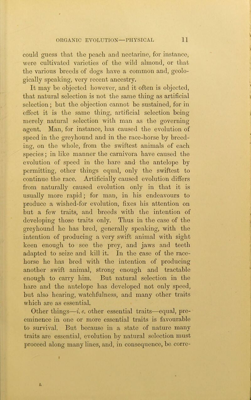 could guess that the peach and nectarine, for instance, were cultivated varieties of the wild almond, or that the various breeds of dogs have a common and, geolo- gically speaking, very recent ancestry. It may be objected however, and it often is objected, that natural selection is not the same thing as artificial selection; but the objection cannot be sustained, for in effect it is the same thing, artificial selection being merely natural selection with man as the governing agent. Man, for instance, has caused the evolution of speed in the greyhound and in the race-horse by breed- ing, on the whole, from the swiftest animals of each species; in like manner the carnivora have caused the evolution of speed in the hare and the antelope by permitting, other things equal, only the swiftest to continue the race. Artificially caused evolution differs from naturally caused evolution only in that it is usually more rapid; for man, in his endeavours to produce a wished-for evolution, fixes his attention on but a few traits, and breeds with the intention of developing those traits only. Thus in the case of the greyhound he has bred, generally speaking, with the intention of producing a very swift animal with sight keen enough to see the prey, and jaws and teeth adapted to seize and kill it. In the case of the race- horse he has bred with the intention of producing another swift animal, strong enough and tractable enough to carry him. But natural selection in the hare and the antelope has developed not only speed, but also hearing, watchfulness, and many other traits which are as essential. Other things—i. e. other essential traits—equal, pre- eminence in one or more essential traits is favourable to survival. But because in a state of nature many traits are essential, evolution by natural selection must proceed along many lines, and, in consequence, be corre- I