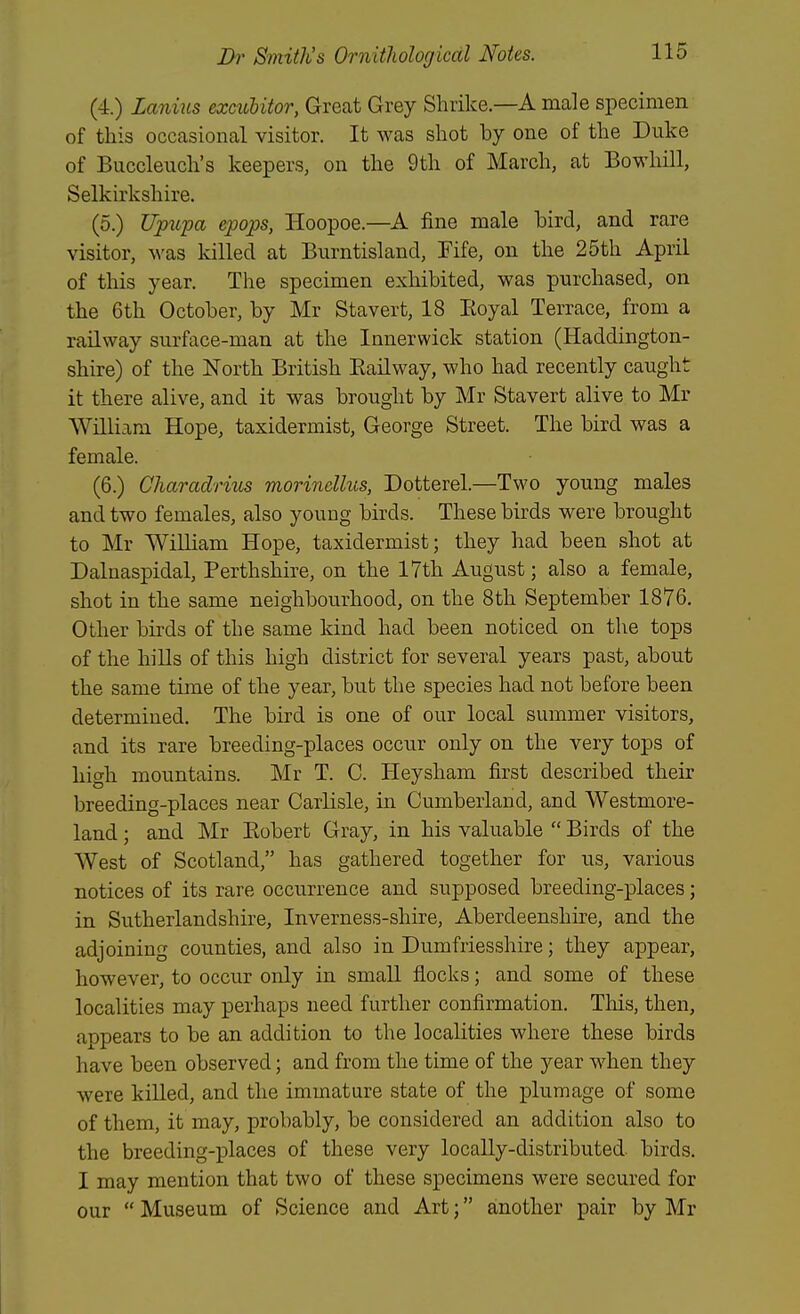 Z>r Smith's Ornithological Notes. (4) LaniJis excuhitor, Gvent Grey Shrike—A male specimen of this occasiorical visitor. It was shot by one of the Duke of Buccleuch's keepers, on the 9th of March, at Bowhill, Selkirkshire. (5.) Upitpa epops, Hoopoe.—A fine male bird, and rare visitor, was killed at Burntisland, Tife, on the 25th April of this year. The specimen exhibited, was purchased, on the 6th October, by Mr Stavert, 18 Eoyal Terrace, from a railway surface-man at the Innerwick station (Haddington- shire) of the North British Eailway, who had recently caught it there alive, and it was brought by Mr Stavert alive to Mr William Hope, taxidermist, George Street. The bird was a female. (6.) Charadrius morinclhis, Dotterel.—Two young males and two females, also young birds. These birds were brought to Mr WiUiam Hope, taxidermist; they had been shot at Dalnaspidal, Perthshire, on the 17th August; also a female, shot in the same neighbourhood, on the 8th September 1876. Other birds of the same kind had been noticed on the tops of the hiUs of this high district for several years past, about the same time of the year, but the species had not before been determined. The bird is one of our local summer visitors, and its rare breeding-places occur only on the very tops of high mountains. Mr T. C. Heysham first described their breeding-places near Carlisle, in Cumberland, and Westmore- land ; and Mr Eobert Gray, in his valuable  Birds of the West of Scotland, has gathered together for us, various notices of its rare occurrence and supposed breeding-places; in Sutherlandshire, Inverness-shire, Aberdeenshire, and the adjoining counties, and also in Dumfriesshire; they appear, however, to occur only in small flocks; and some of these localities may perhaps need further confirmation. This, then, appears to be an addition to the localities where these birds have been observed; and from the time of the year when they were killed, and the immature state of the plumage of some of them, it may, probably, be considered an addition also to the breeding-places of these very locally-distributed, birds. I may mention that two of these specimens were secured for our  Museum of Science and Art; another pair by Mr