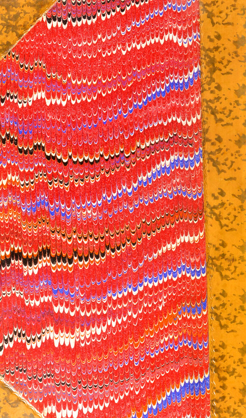 No text description is available for this image