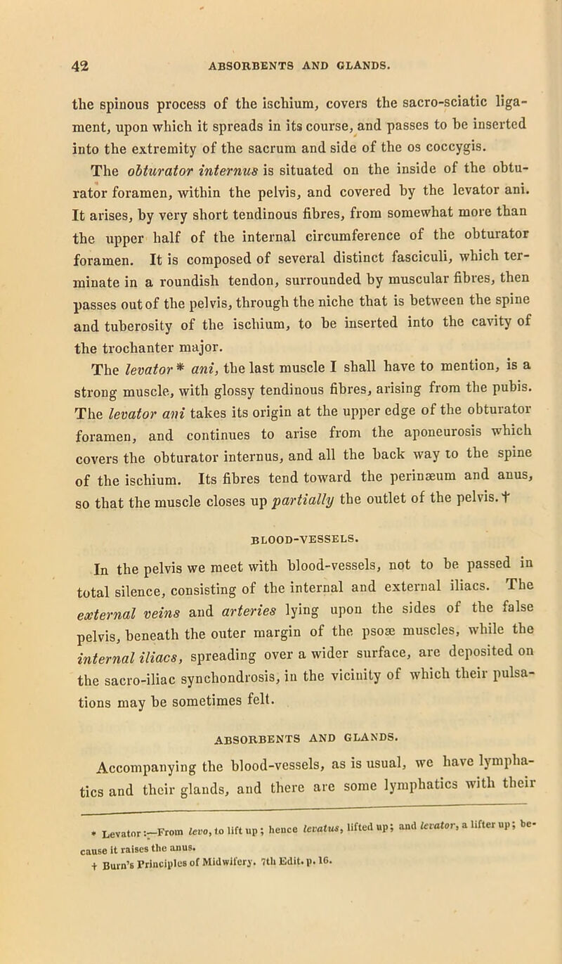the spinous process of the ischium, covers the sacro-sciatic liga- ment, upon which it spreads in its course, and passes to he inserted into the extremity of the sacrum and side of the os coccygis. The obturator internus is situated on the inside of the obtu- rator foramen, within the pelvis, and covered by the levator ani. It arises, by very short tendinous fibres, from somewhat more than the upper half of the internal circumference of the obturator foramen. It is composed of several distinct fasciculi, which ter- minate in a roundish tendon, surrounded by muscular fibres, then passes out of the pelvis, through the niche that is between the spine and tuberosity of the ischium, to be inserted into the cavity of the trochanter major. The levator * ani, the last muscle I shall have to mention, is a strong muscle, with glossy tendinous fibres, arising from the pubis. The levator ani takes its origin at the upper edge of the obturator foramen, and continues to arise from the aponeurosis which covers the obturator internus, and all the back way to the spine of the ischium. Its fibres tend toward the perinaeum and anus, so that the muscle closes up partially the outlet of the pelvis, t blood-vessels. In the pelvis we meet with blood-vessels, not to be passed in total silence, consisting of the internal and external iliacs. The external veins and arteries lying upon the sides of the false pelvis, beneath the outer margin of the pso® muscles, while the internal iliacs, spreading over a wider surface, are deposited on the sacro-iliac synchondrosis, in the vicinity of which their pulsa- tions may be sometimes fell. ABSORBENTS AND GLANDS. Accompanying the blood-vessels, as is usual, we have lympha- tics and their glands, and there are some lymphatics with their • Levator:—From Zero, to lift up; hence lifted up; and teiator, a lifter up; be cause it raises the anus. + Burn’s Principles of Midwiferi'. 7th Edit. p. 16.