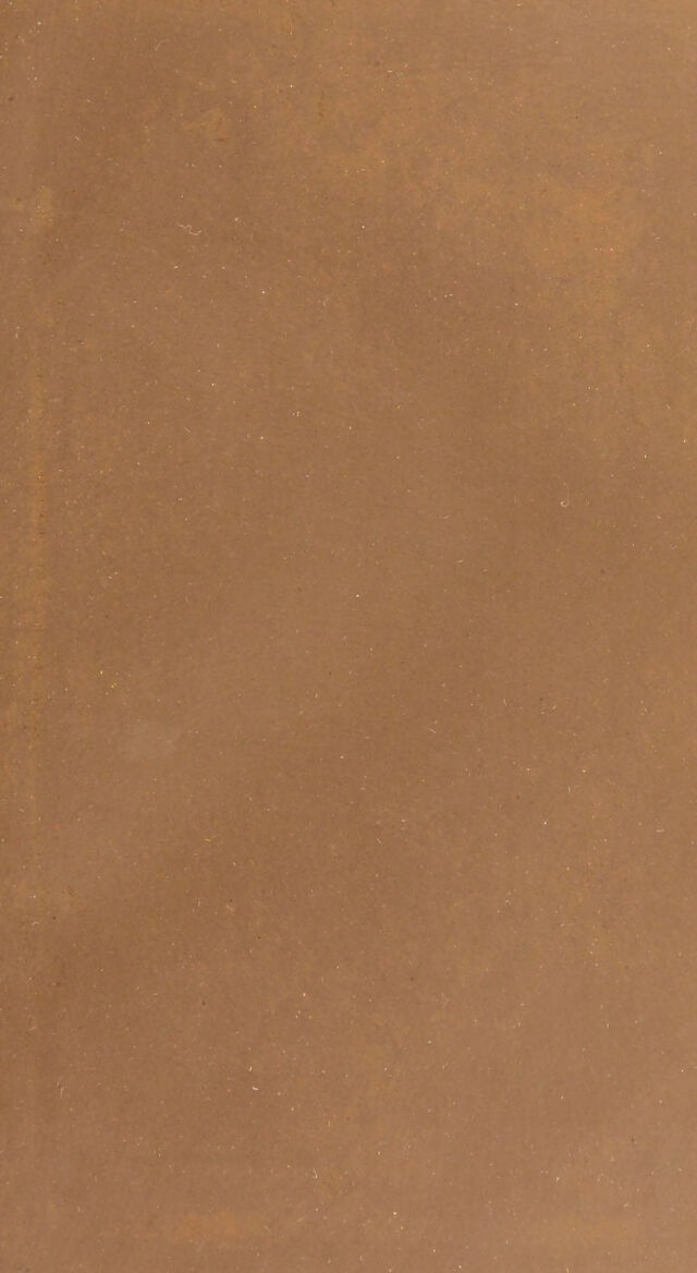 digitised image 3
