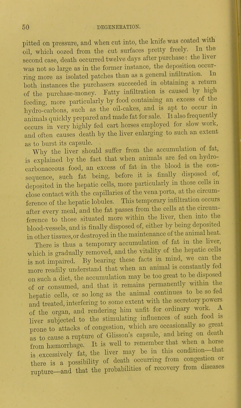 pitted on pressure, and when cut into, the knife was coated with oil, which oozed from the cut surfaces pretty freely. In the second case, death occurred twelve days after purchase: the liver was not so large as in the former instance, the deposition occur- ring more as isolated patches than as a general infiltration. In both instances the purchasers succeeded in obtaining a return of the purchase-money. Fatty infiltration is caused by high feeding, more particularly by food containing an excess of the hydro-carbons, such as the oil-cakes, and is apt to occur in animals quickly prepared and made fat for sale. It also frequently occurs in very highly fed cart horses employed for slow work, and often causes death by the liver enlarging to such an extent as to burst its capsule. Why the liver should suffer from the accumulation of fat, is explained by the fact that when animals are fed on hydro- carbonaceous food, an excess of fat in the blood is the con- sequence, such fat being, before it is finally disposed of, deposited in the hepatic ceUs, more particularly m those cells in close contact with the capillaries of the vena porta, at the circum- ference of the hepatic lobules. This temporary infiltration occurs after every meal, and the fat passes from the cells at the circum- ference to those situated more within the liver, then into the blood-vessels, and is finally disposed of, either by being deposited iu other tissues, or destroyed in the maintenance of the animal heat. There is thus a temporary accumulation of fat m the liver, which is gradually removed, and the vitality of the hepatic cells is not impaired. By bearing these facts in mind, we can the more readily understand that when an animal is constantly fed on such a diet, the accumulation may be too great to be disposed of or consumed, and that it remains permanently witlun the hepatic cells, or so long as the animal continues to be so fed and treated, interfering to some extent with the secretory powers of the organ, and rendering him unfit for ordinary work A liver subjected to the stimulating influences of such food is prone to attacks of congestion, which are occasionally so great as to cause a rupture of Glisson's capsule, and bring on death from hemorrhage. It is well to remember that when a horse is excessively fat, the liver may be in this condition—that there is a possibility of death occurring from congestion or rupture-and that the probabilities of recovery from diseases