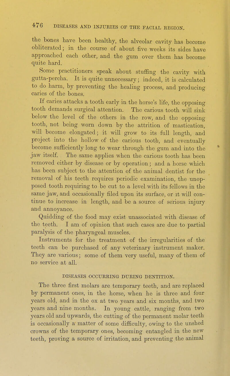 the bones have been healthy, the alveolar cavity has become obliterated; in the course of about five weeks its sides have approached each other, and the gum over them has become quite hard. Some practitioners speak about stuffing the cavity with gutta-percha. It is quite unnecessary; indeed, it is calculated to do harm, by preventing the healing process, and producing caries of the bones. If caries attacks a tooth early in the horse's life, the opposing tooth demands surgical attention. The carious tooth will sink below the level of the others in the row, and the opposing tooth, not being worn down by the attrition of mastication, will become elongated; it wiU grow to its full length, and project into the hollow of the carious tooth, and eventually become sufficiently long to wear through the gum and into the jaw itself. The same applies when the carious tooth has been removed either by disease or by operation; and a horse which has been subject to the attention of the animal dentist for the removal of his teeth requires periodic examination, the unop- posed tooth requiring to be cut to a level with its fellows in the same jaw, and occasionally filed upon its surface, or it will con- tinue to increase in length, and be a source of serious injury and annoyance. Quidding of the food may exist unassociated with disease of the teeth. I am of opinion that such cases are due to partial paralysis of the pharyngeal muscles. Instruments for the treatment of the irregularities of the teeth can be purchased of any veterinary instrument maker. They are various; some of them very useful, many of them of no service at all. DISEASES OCCURRING DURING DENTITION. The three first molars are temporary teeth, and are replaced by permanent ones, in the horse, when he is three and four years old, and in the ox at two years and six months, and two years and nine months. In young cattle, ranging from two years old and upwards, the cutting of the permanent molar teeth is occasionally a matter of some difficulty, owing to the unshed crowns of the temporary ones, becoming entangled in the new teeth, proving a source of irritation, and preventing the animal