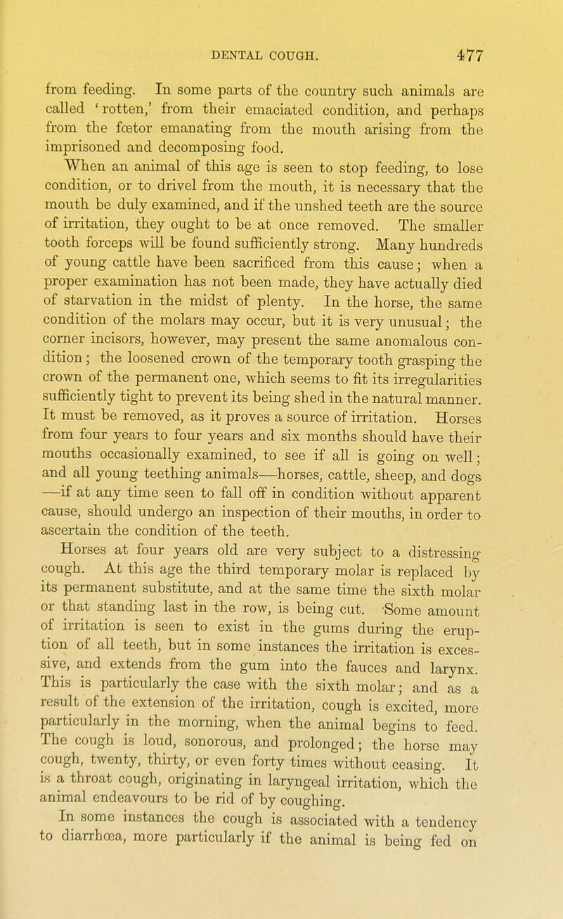 from feeding. In some parts of the country such animals are called 'rotten/ from their emaciated condition, and perhaps from the foetor emanating from the mouth arising from the imprisoned and decomposing food. When an animal of this age is seen to stop feeding, to lose condition, or to drivel from the mouth, it is necessary that the mouth be duly examined, and if the unshed teeth are the source of irritation, they ought to be at once removed. The smaller tooth forceps will be found sufficiently strong. Many hundreds of young cattle have been sacrificed from this cause; when a proper examination has not been made, they have actually died of starvation in the midst of plenty. In the horse, the same condition of the molars may occur, but it is very unusual; the corner incisors, however, may present the same anomalous con- dition ; the loosened crown of the temporary tooth grasping the crown of the permanent one, which seems to fit its irregularities sufficiently tight to prevent its being shed in the natural manner. It must be removed, as it proves a source of irritation. Horses from four years to four years and six months should have their mouths occasionally examined, to see if all is going on well; and all young teething animals—horses, cattle, sheep, and dogs —if at any time seen to fall off in condition without apparent cause, should undergo an inspection of their mouths, in order to ascertain the condition of the teeth. Horses at four years old are very subject to a distressing- cough. At this age the third temporary molar is replaced by its permanent substitute, and at the same time the sixth molar or that standing last in the row, is being cut. -Some amount of irritation is seen to exist in the gums during the erup- tion of all teeth, but in some instances the in-itation is exces- sive, and extends from the gum into the fauces and larynx. This is particularly the case with the sixth molar; and as a result of the extension of the irritation, cough is excited, more particularly in the morning, when the animal begins to feed. The cough is loud, sonorous, and prolonged; the horse may cough, twenty, thirty, or even forty times without ceasing. It is a throat cough, originating in laryngeal irritation, which the animal endeavours to be rid of by coughing. In some instances the cough is associated with a tendency to diarrhoea, more particularly if the animal is being fed on