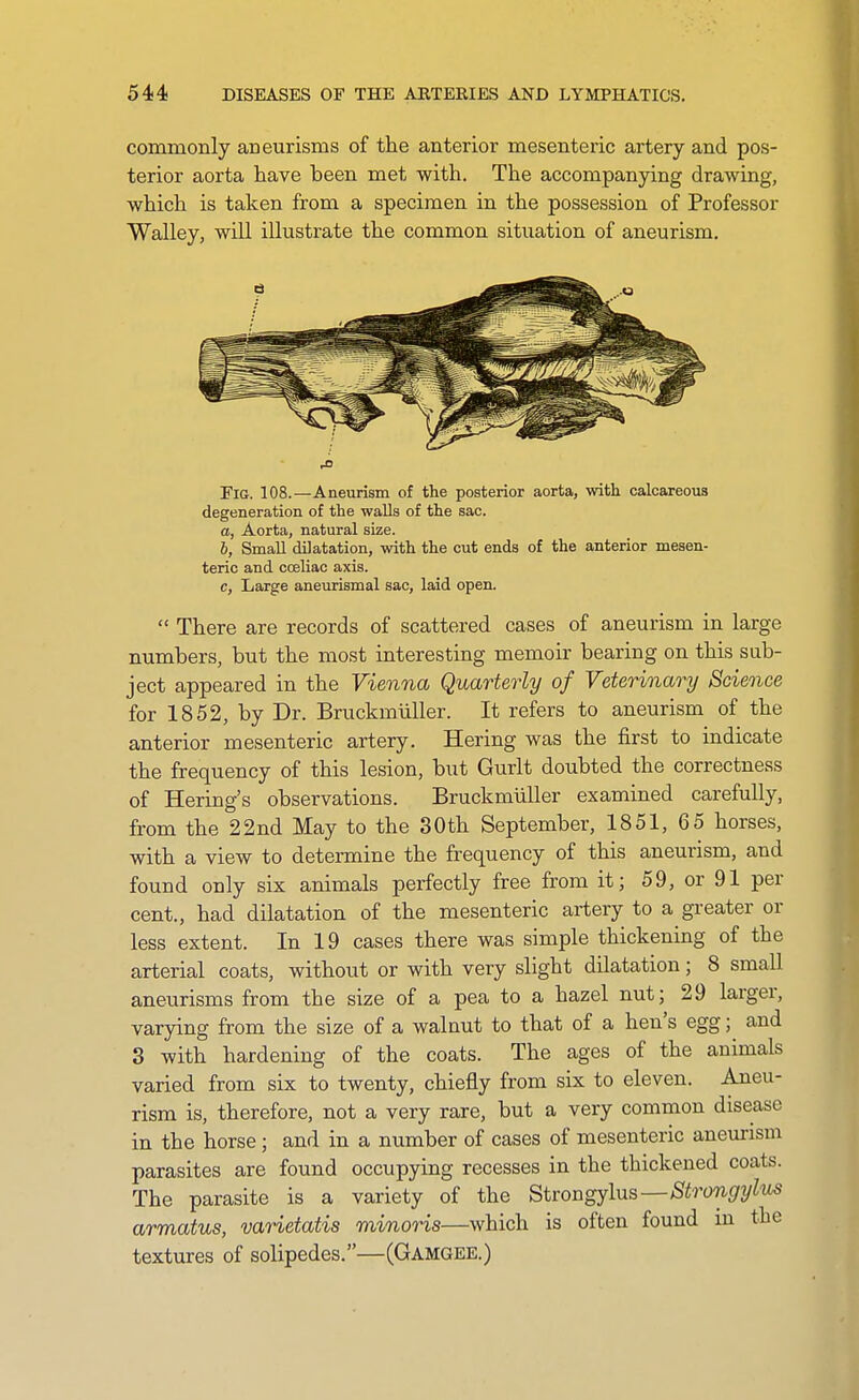 commonly aneurisms of the anterior mesenteric artery and pos- terior aorta have been met with. The accompanying drawing, which is taken from a specimen in the possession of Professor Walley, will illustrate the common situation of aneurism. ■J5 Fig. 108.—Aneurism of the posterior aorta, with calcareous degeneration of the walls of the sac. o, Aorta, natural size. 6, Small dilatation, with the cut ends of the anterior mesen- teric and coeliac axis. c, Large aneurismal sac, laid open.  There are records of scattered cases of aneurism in large numbers, but the most interesting memoir bearing on this sub- ject appeared in the Vienna Quarterly of Veterinary Science for 1852, by Dr. Bruckmiiller. It refers to aneurism of the anterior mesenteric artery. Hering was the first to indicate the frequency of this lesion, but Gurlt doubted the correctness of Bering's observations. Bruckmiiller examined carefully, from the 22nd May to the 30th September, 1851, 65 horses, with a view to determine the fi-equency of this aneurism, and found only six animals perfectly free from it; 59, or 91 per cent., had dilatation of the mesenteric artery to a greater or less extent. In 19 cases there was simple thickening of the arterial coats, without or with very slight dilatation; 8 small aneurisms from the size of a pea to a hazel nut; 29 larger, varying from the size of a walnut to that of a hen's egg; and 3 with hardening of the coats. The ages of the animals varied from six to twenty, chiefly from six to eleven. Aneu- rism is, therefore, not a very rare, but a very common disease in the horse ; and in a number of cases of mesenteric aneurism parasites are found occupying recesses in the thickened coats. The parasite is a variety of the StwngjlnsStrongylus armatus, varietatis minoris—which is often found m the textures of solipedes.—(Gamgee.)