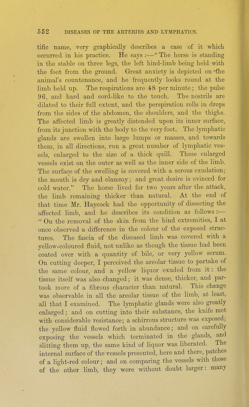 tific name, very graphically describes a case of it wliicli occurred in his practice. He says :— The horse is standing in the stable on three legs, the left hind-limb being held with the foot from the ground. Great anxiety is depicted on 'tlie animal's countenance, and he frequently looks round at the limb held up. The respirations are 48 per minute; the pulse 96, and hard and cord-like to the touch. The nostrils are dilated to their full extent, and the perspiration rolls in drops from the sides of the abdomen, the shoulders, and the thighs. The affected limb is greatly distended upon its inner surface, from its junction with the body to the very foot. The lymphatic glands are swollen into large lumps or masses, and towards them, in all directions, run a great number of lymphatic ves- sels, enlarged to the size of a thick quill. These enlarged vessels exist on the outer as well as the inner side of the limb. The surface of the swelling is covered with a serous exudation; the mouth is dry and clammy; and great desire is evinced for cold water. The horse lived for two years after the attack, the limb remaining thicker than natural. At the end of that time Mr. Haycock had the opportunity of dissecting the affected limb, and he describes its condition as follows :—  On the removal of the skin from the hind extremities, I at once observed a difference in the colour of the exposed struc- tures. The fascia of the diseased limb was covered with a yellow-coloured fluid, not unlike as though the tissue had been coated over with a quantity of bile, or very yellow serum. On cutting deeper, I perceived the areolar tissue to partake of the same colour, and a yellow liquor exuded from it: the tissue itself was also changed; it was dense, thicker, and par- took more of a fibrous character than natural. This change was observable in all the areolar tissue of the limb, at least, all that I examined. The lymphatic glands were also greatly enlarged; and on cutting into their substance, the knife met with considerable resistance; a schirrous structure was exposed; the yellow fluid flowed forth in abundance; and on cai-efully exposing the vessels which terminated in the glands, and slitting them up, the same kind of liquor was liberated. The internal surface of the vessels presented, here and there, patches of a light-red colour; and on comparing the vessels with those of the other limb, they were without doubt larger: many