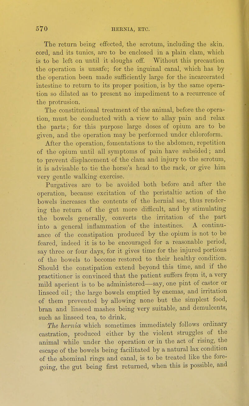 The return being effected, the scrotum, including the skin, cord, and its tunics, are to be enclosed in a plain clam, which is to be left on until it sloughs off. Without this precaution the operation is unsafe; for the inguinal canal, which has by the operation been made sufl&ciently large for the incarcerated intestine to return to its proper position, is by the same opera- tion so dilated as to present no impediment to a recurrence of the protrusion. The constitutional treatment of the animal, before the opera- tion, must be conducted with a view to allay pain and relax the parts; for this purpose large doses of opium are to be given, and the operation may be performed under chloroform. After the operation, fomentations to the abdomen, repetition of the opium until all symptoms of pain have subsided; and to prevent displacement of the clam and injury to the scrotum, it is advisable to tie the horse's head to the rack, or give him very gentle walking exercise. Purg-atives are to be avoided both before and after the operation, because excitation of the peristaltic action of the bowels increases the contents of the hernial sac, thus render- ing the return of the gut more difficult, and by stimulating the bowels generally, converts the irritation of the part into a general inflammation of the intestines. A continu- ance of the constipation produced by the opium is not to be feared, indeed it is to be encouraged for a reasonable period, say three or four days, for it gives time for the injured portions of the bowels to become restored to their healthy condition. Should the constipation extend beyond this time, and if the practitioner is convinced that the patient suffers from it, a very mild aperient is to be administered—say, one pint of castor or linseed oil; the large bowels emptied by enemas, and irritation of them prevented by allowing none but the simplest food, bran and linseed mashes being very suitable, and demulcents, such as linseed tea, to drink. The hernia which sometimes immediately follows ordinary castration, produced either by the violent struggles of the animal while under the operation or in the act of rising, the escape of the bowels being facilitated by a natural lax condition of the abominal rings and canal, is to be treated like the fore- going, the gut being first returned, when this is possible, and