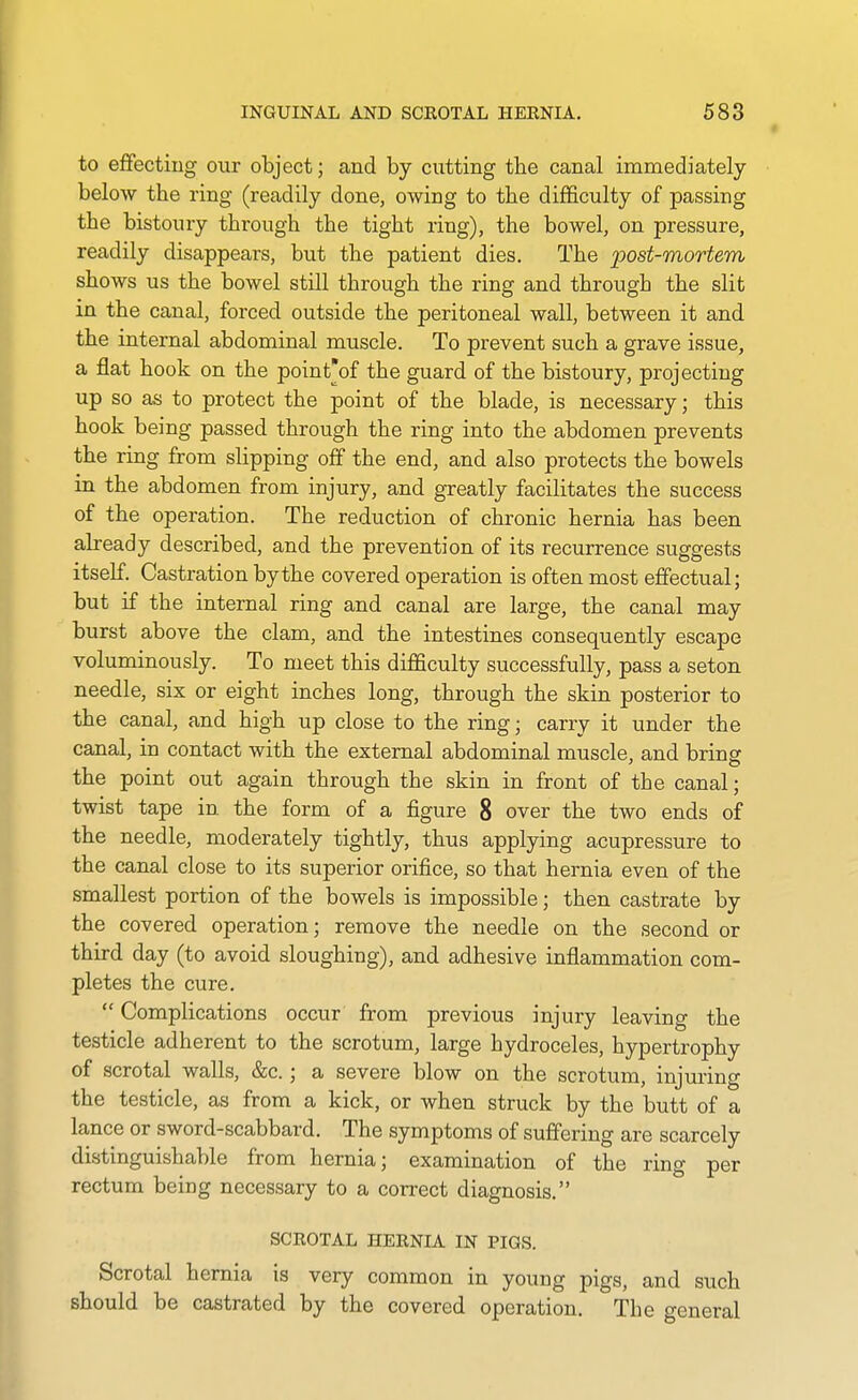 to effecting our object; and by cutting the canal immediately below the ring (readily done, owing to the difficulty of passing the bistoury through the tight ring), the bowel, on pressure, readily disappears, but the patient dies. The post-mortem shows us the bowel still through the ring and through the slit in the canal, forced outside the peritoneal wall, between it and the internal abdominal muscle. To prevent such a grave issue, a flat hook on the point'of the guard of the bistoury, projecting up so as to protect the point of the blade, is necessary; this hook being passed through the ring into the abdomen prevents the ring from slipping off the end, and also protects the bowels in the abdomen from injury, and greatly facilitates the success of the operation. The reduction of chronic hernia has been already described, and the prevention of its recurrence suggests itself. Castration by the covered operation is often most effectual; but if the internal ring and canal are large, the canal may burst above the clam, and the intestines consequently escape voluminously. To meet this difficulty successfully, pass a seton needle, six or eight inches long, through the skin posterior to the canal, and high up close to the ring; carry it under the canal, in contact with the external abdominal muscle, and brinsr the pomt out agam through the skin in front of the canal; twist tape in the form of a figure 8 over the two ends of the needle, moderately tightly, thus applying acupressure to the canal close to its superior orifice, so that hernia even of the smallest portion of the bowels is impossible; then castrate by the covered operation; remove the needle on the second or third day (to avoid sloughing), and adhesive infiammation com- pletes the cure.  Complications occur from previous injury leaving the testicle adherent to the scrotum, large hydroceles, hypertrophy of scrotal walls, &c.; a severe blow on the scrotum, injuring the testicle, as from a kick, or when struck by the butt of a lance or sword-scabbard. The symptoms of suffering are scarcely distinguishable from hernia; examination of the ring per rectum being necessary to a correct diagnosis. SCROTAL HERNIA IN PIGS. Scrotal hernia is very common in young pigs, and such should be castrated by the covered operation. The general