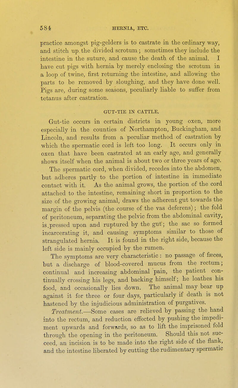 practice amongst pig-gelders is to castrate in the ordinary way, and stitch up, the divided scrotum ; sometimes they include the intestine in the suture, and cause the death of the animal. I have cut pigs with hernia by merely enclosing the scrotum in a loop of twine, first returning the intestine, and allowing the parts to be removed by sloughing, and they have done well. Pigs are, during some seasons, peculiarly liable to suffer from tetanus after castration. GUT-TIE IN CATTLE. Gut-tie occurs in certain districts in young oxen, more especially in the counties of Northampton, Buckingham, and Lincoln, and results from a peculiar method of castration by which the spermatic cord is left too long. It occurs only in oxen that have been castrated at an early age, and generally shows itself when the animal is about two or three years of age. The spermatic cord, when divided, recedes into the abdomen, but adheres partly to the portion of intestine in immediate contact with it. As the animal grows, the portion of the cord attached to the intestine, remaining short in proportion to the size of the growing animal, draws the adherent gut towards the margin of the pelvis (the course of the vas deferens); the fold of peritoneum, separating the pelvic from the abdominal cavity, is.pressed upon and ruptured by the gut; the sac so formed incarcerating it, and causing symptoms similar to those of strangulated hernia. It is found in the right side, because the left side is mainly occupied by the rumen. The symptoms are very characteristic : no passage of faeces, but a discharge of blood-covered mucus from the rectum; continual and increasing abdominal 'pain, the patient con- tinually crossing his legs, and backing himself; he loathes his food, and occasionally lies down. The animal may bear up against it for three or four days, particularly if death is not hastened by the injudicious administration of purgatives. Treatment.—Some cases are relieved by passing the hand into the rectum, and reduction effected by pushing the impedi- ment upwards and forwards, so as to lift the imprisoned fold through the opening in the peritoneum. Should this not suc- ceed, an incision is to be made into the right side of the flank, and the intestine liberated by cutting the rudimentary spermatic