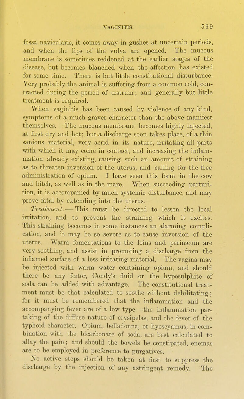 fossa naviciilaris, it comes away in gushes at uncertain periods, and when the lips of the vulva are opened. The mucous membrane is sometimes reddened at the earlier stages of the disease, but becomes blanched when the affection has existed for some time. There is but little constitutional disturbance. Very probably the animal is suffering from a common cold, con- tracted during the period of oestrum; and generally but little treatment is required. When vaginitis has been caused by violence of any kind, symptoms of a much graver character than the above manifest themselves. The mucous membrane becomes highly injected, at first dry and hot; but a discharge soon takes place, of a thin sanious material, very acrid in its nature, iiTitating all parts with which it may come in contact, and increasing the inflam- mation already existing, causing such an amount of straining as to threaten inversion of the uterus, and calling for the free administration of opium. I have seen this form in the cow and bitch, as well as in the mare. When succeeding parturi- tion, it is accompanied by much systemic disturbance, and may prove fatal by extending into the uterus. Treatment. — This must be directed to lessen the local irritation, and to prevent the straining which it excites. This straining becomes in some instances an alarming compli- cation, and it may be so severe as to cause inversion of the uterus. Warm fomentations to the loins and perinseum are very soothing, and assist in promoting a discharge from the inflamed surface of a less irritating material. The vagina may be injected with warm water containing opium, and should there be any fcetor, Condy's fluid or the hyposulphite of soda can be added with advantage. The constitutional treat- ment must be that calculated to soothe without debilitating; for it must be remembered that the inflammation and the accompanying fever are of a low type—the inflammation par- taking of the diffuse nature of erysipelas, and the fever of the typhoid character. Opium, belladonna, or hyoscyamus, in com- bination with the bicarbonate of soda, are best calculated to allay the pain; and should the bowels be constipated, enemas are to be employed in preference to purgatives. No active steps should be taken at first to suppress the discharge by the injection of any astringent remedy. The