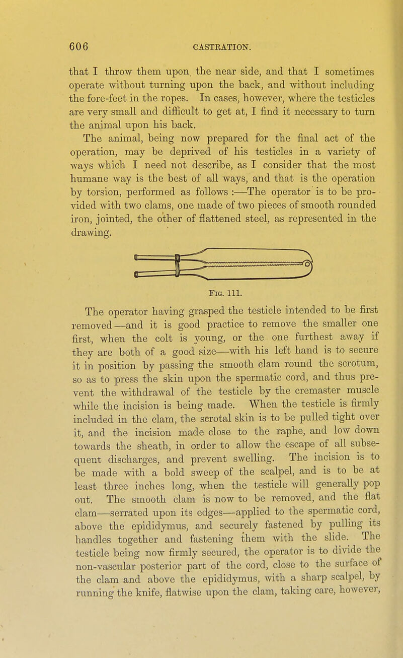 that I throw them upon the near side, and that I sometimes operate without turning upon the back, and without including the fore-feet in the ropes. In cases, however, where the testicles are very small and difficult to get at, I find it necessary to turn the animal upon his back. The animal, being now prepared for the final act of the operation, may be deprived of his testicles in a variety of ways which I need not describe, as I consider that the most humane way is the best of all ways, and that is the operation by torsion, performed as follows :—The operator is to be pro- vided with two clams, one made of two pieces of smooth rounded iron, jointed, the other of flattened steel, as represented in the drawing. Fig. 111. The operator having grasped the testicle intended to be first removed—and it is good practice to remove the smaller one first, when the colt is young, or the one furthest away if they are both of a good size—with his left hand is to secure it in position by passing the smooth clam round the scrotum, so as to press the skin upon the spermatic cord, and thus pre- vent the withdrawal of the testicle by the cremaster muscle while the incision is being made. When the testicle is firmly included in the clam, the scrotal skin is to be pulled tight over it, and the incision made close to the raphe, and low down towards the sheath, in order to allow the escape of all subse- quent discharges, and prevent swelling. The incision is to be made with a bold sweep of the scalpel, and is to be at least three inches long, when the testicle will generally pop out. The smooth clam is now to be removed, and the flat clam—serrated upon its edges—applied to the spermatic cord, above the epididymus, and securely fastened by pulling its handles together and fastening them with the slide. The testicle being now firmly secured, the operator is to divide the non-vascular posterior part of the cord, close to the surface of the clam and above the epididymus, with a sharp scalpel, by running the knife, flatwise upon the clam, taking care, however,