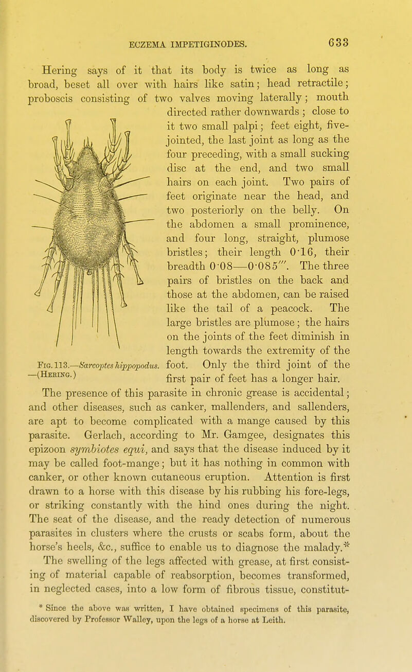 Hering says of it that its body is twice as long as broad, beset all over with hairs like satin; head retractile; proboscis consisting of two valves moving laterally; mouth directed rather downwards ; close to it two small palpi; feet eight, five- jointed, the last joint as long as the four preceding, with a small sucking disc at the end, and two small hairs on each joint. Two pairs of feet originate near the head, and two posteriorly on the belly. On the abdomen a small prominence, and four long, straight, plumose bristles; their length 0'16, their breadth 0-08—0-085'. The three pairs of bristles on the back and those at the abdomen, can be raised like the tail of a peacock. The large bristles are plumose; the hairs on the joints of the feet diminish in length towards the extremity of the FiG.iiS.—Sarcopteshippopndus. foot. Only the third joint of the —(Hehing.) g^g^ pg^-^ ^£ £gg^ has a longer hair. The presence of this parasite in chronic grease is accidental; and other diseases, such as canker, mallenders, and sallenders, are apt to become complicated with a mange caused by this parasite. Gerlach, according to Mr. Gamgee, designates this epizoon symhiotes equi, and says that the disease induced by it may be called foot-mange; but it has nothing in common with canker, or other known cutaneous eruption. Attention is first drawn to a horse with this disease by his rubbing his fore-legs, or striking constantly with the hind ones during the night. The seat of the disease, and the ready detection of numerous parasites in clusters where the crusts or scabs form, about the horse's heels, &c., suffice to enable us to diagnose the malady.* The swelling of the legs affected with grease, at first consist- ing of material capable of reabsorption, becomes transformed, in neglected cases, into a low form of fibrous tissue, constitut- * Since the above was written, I have obtained specimens of this parasite, discovered by Professor Walley, upon the legs of a horse at Leith.