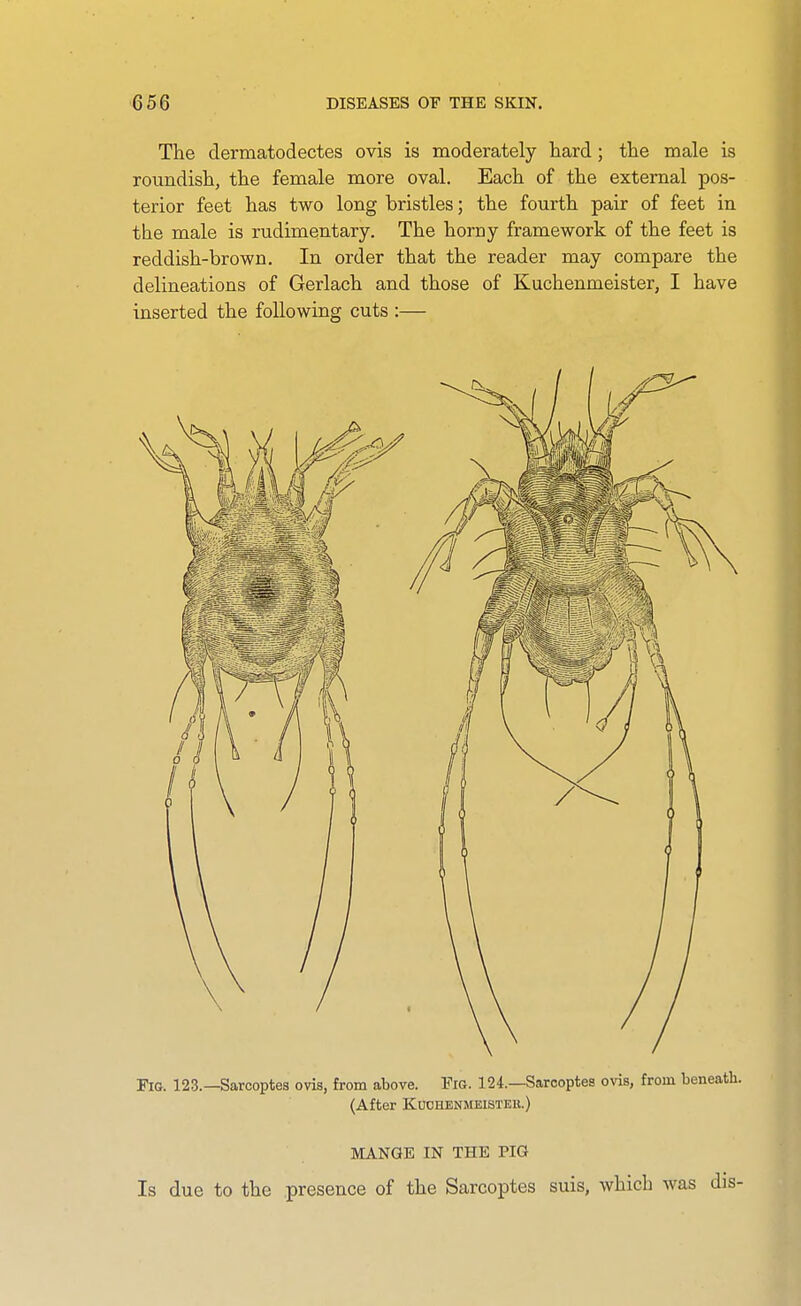 The dermatodectes ovis is moderately hard; the male is roundish, the female more oval. Each of the external pos- terior feet has two long bristles; the fourth pair of feet in the male is rudimentary. The horny framework of the feet is reddish-brown. In order that the reader may compare the delineations of Gerlach and those of Kuchenmeister, I have inserted the following cuts :— Fio. 123.—Sarcoptes ovis, from above. Fig. 124.—Sarcoptes ovis, from beneath. (After KOCHENMBISTEK.) MANGE IN THE PIG Is due to the presence of the Sarcoptes suis, which was dis-