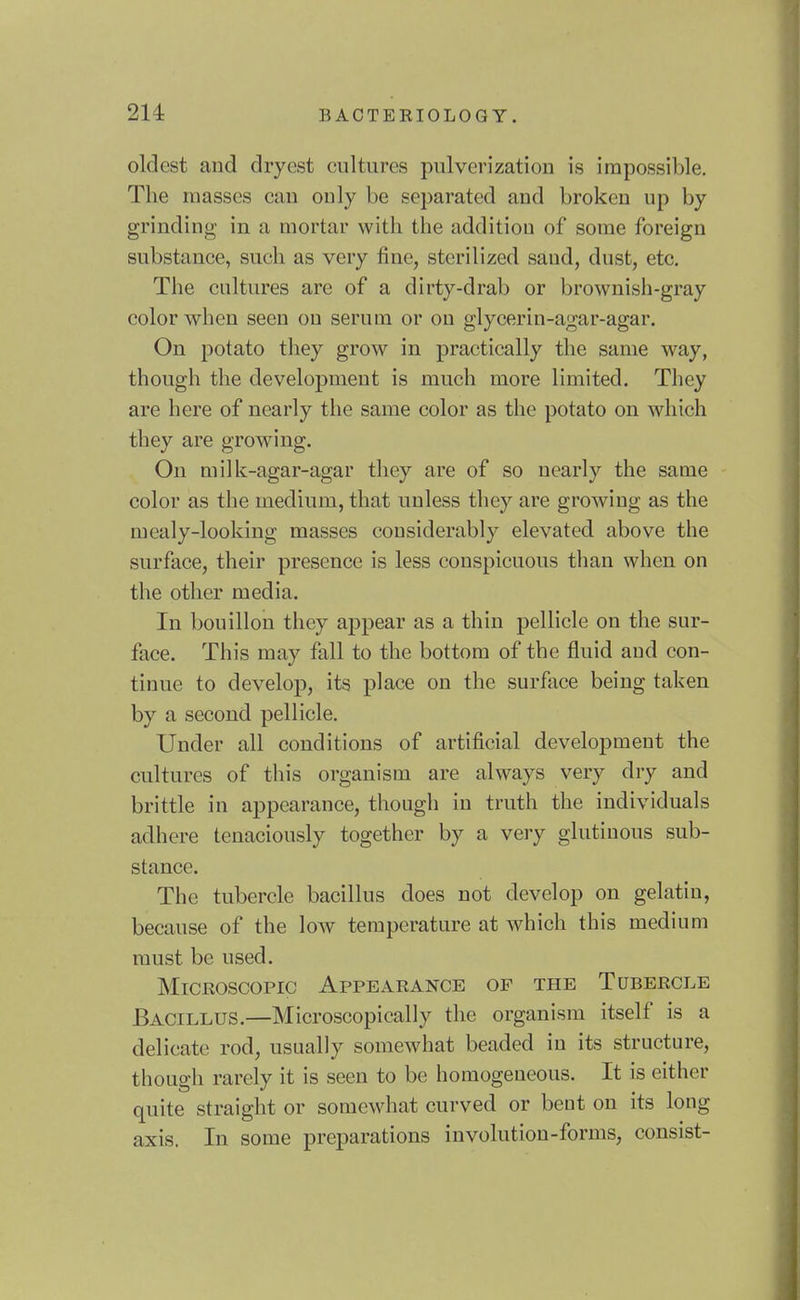 oldest and dryest cultures pulverization is impossible. The masses can only be separated and broken up by grinding in a mortar with the addition of some foreign substance, such as very fine, sterilized sand, dust, etc. The cultures are of a dirty-drab or brownish-gray color when seen on serum or on glycerin-agar-agar. On potato they grow in practically the same way, though the development is much more limited. They are here of nearly the same color as the potato on which they are growing. On milk-agar-agar they are of so nearly the same color as the medium, that unless they are growing as the mealy-looking masses considerably elevated above the surface, their presence is less conspicuous than when on the other media. In bouillon they appear as a thin pellicle on the sur- face. This may fall to the bottom of the fluid and con- tinue to develop, its place on the surface being taken by a second pellicle. Under all conditions of artificial development the cultures of this organism are always very dry and brittle in appearance, though in truth the individuals adhere tenaciously together by a very glutinous sub- stance. The tubercle bacillus does not develop on gelatin, because of the low temperature at which this medium must be used. Microscopic Appearance op the Tubercle Bacillus.—Microscopically the organism itself is a delicate rod, usually somewhat beaded in its structure, though rarely it is seen to be homogeneous. It is either quite straight or somewhat curved or beut on its long axis. In some preparations involution-forms, consist-