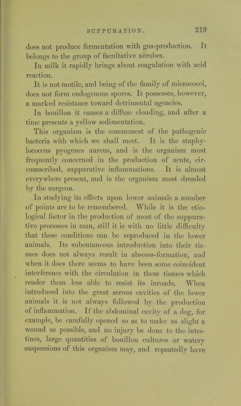 does not produce fermentation with gas-production. It belongs to the group of facultative aerobes. In milk it rapidly brings about coagulation with acid reaction. It is not motile, and being of the family of micrococci, does not form endogenous spores. It possesses, however, a marked resistance toward detrimental agencies. In bouillon it causes a diffuse clouding, and after a time presents a yellow sedimentation. This organism is the commonest of the pathogenic bacteria with which we shall meet. It is the staphy- lococcus pyogenes aureus, and is the organism most frequently concerned in the production of acute, cir- cumscribed, suppurative inflammations. It is almost everywhere present, and is the organism most dreaded by the surgeon. In studying its effects upon lower animals a number of points are to be remembered. While it is the etio- logical factor in the production of most of the suppura- tive processes in man, still it is with no little difficulty that these conditions can be reproduced in the lower animals. Its subcutaneous introduction into their tis- sues does not always result in abscess-formation, and when it does there seems to have been some coincident interference with the circulation in these tissues which render them less able to resist its inroads. When introduced into the great serous cavities of the lower animals it is not always followed by the production of inflammation. If the abdominal cavity of a dog, for example, be carefully opened so as to make as slight a wound as possible, and no injury be done to the intes- tines, large quantities of bouillon cultures or watery suspensions of this organism may, and repeatedly have