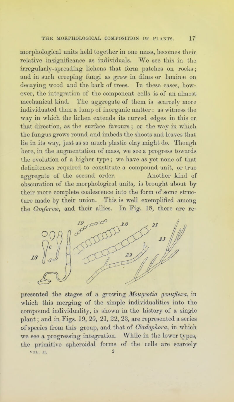 morphological imits held together in one mass, becomes their relative insignificance as individuals. We see this in the irregularly-spreading lichens that form patches on rocks; and in such creeping fungi as grow in films or laminas on decaying wood and the bark of trees. In these cases, how- ever, the integration of the component cells is of an almost mechanical kind. The aggregate of them is scarcely more individuated than a lump of inorganic matter : as witness the way in which the lichen extends its curved edges in this or that direction, as the surface favours ; or the way in which the fungus grows round and imbeds the shoots and leaves that lie in its way, just as so much plastic clay might do. Though here, in the augmentation of mass, we see a progress towards the evolution of a higher type; we have as yet none of that definiteness required to constitute a compound unit, or true ao-o-reerate of the second order. Another kind of obscuration of the morphological units, is brought about by their more complete coalescence into the form of some struc- ture made by their union. This is well exemplified among the ConfervcBy and their allies. In Fig, 18, there are re- presented the stages of a growing Mougcotia gonuflexa, in which this merging of the simple individualities into the compound individualit}^ is shown in the history of a single plant; and in Figs. 19, 20, 21, 22, 23, are represented a series of species from this group, and that of Cladophora, in which we see a progressing integration. While in the lower types, the primitive spheroidal forms of the cells are scarcely vol.. II. 2