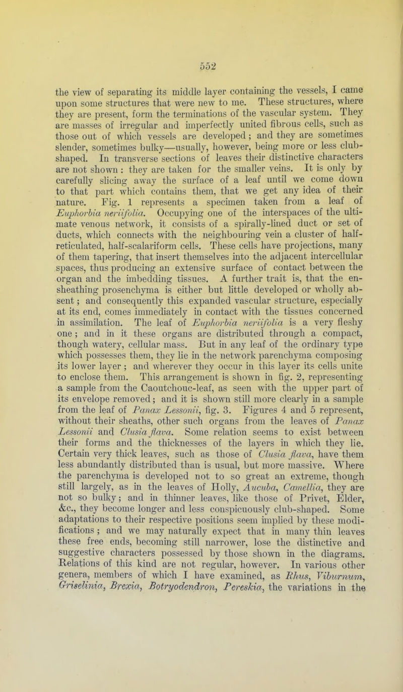 the view of separating its middle layer containing the vessels, I came upon some structures that were new to me. These structures, where they are present, form the terminations of the vascular system. They are masses of irregular and imperfectly miited fibrous cells, such as those out of which vessels are developed; and they are sometimes slender, sometimes bulky—usually, however, being more or less club- shaped. In transverse sections of leaves their distinctive characters are not shown : they are taken for the smaller veins. It is only by carefully shcing away the surface of a leaf until we come down to that part which contahis them, that we get any idea of their nature. Fig. 1 represents a specimen taken from a leaf of Euphorbia mriifolia. Occupying one of the interspaces of the ulti- mate venous network, it consists of a spirally-lined duct or set of ducts, which comiects with the neighbouring vein a cluster of half- reticulated, half-scalariform cells. These cells have projections, many of them tapering, that msert themselves into the adjacent intercellular spaces, thus producing an extensive surface of contact between the organ and the imbedding tissues. A further trait is, that the en- sheathing prosenchyma is either but little developed or wholly ab- sent ; and consequently this expanded vascular structure, especially at its end, comes immediately in contact with the tissues concerned in assimilation. The leaf of Euphorbia neriifolia is a very fleshy one ; and in it these organs are distributed through a compact, though watery, cellular mass. But in any leaf of the ordinary type which possesses them, they lie in the network parenchyma composing its lower layer ; and wherever they occur in this layer its cells unite to enclose them. This arrangement is shown in fig. 2, representing a sample from the Caoutchouc-leaf, as seen with the upper part of its envelope removed; and it is shown still more cleai'ly in a sample from the leaf of Panax Lessonii, fig. 3. Figures 4 and 5 represent, without their sheaths, other such organs from the leaves of Panax Lessonii and Clusia Jlava. Some relation seems to exist between theii' forms and the thicknesses of the layers in which they lie. Certain very thick leaves, such as those of Clusia flava^ have them less abimdantly distributed than is usual, but more massive. Where the parenchyma is developed not to so great an extreme, though still largely, as in the leaves of Holly, Aucuha, Camellia, they are not so bulky; and in thinner leaves, like those of Privet, Elder, &c., they become longer and less conspicuously club-shaped. Some adaptations to their respective positions seem imphed by these modi- fications ; and we may naturally expect that in many thin leaves these free ends, becoming still narrower, lose the distinctive and suggestive characters possessed by those shown in the diagrams. Relations of this kind are not regular, however. In various other genera, members of which I have examined, as Rhus, Viburnum^ Griselinia, Brexia, Botryodondron, Pereskia, the variations m the