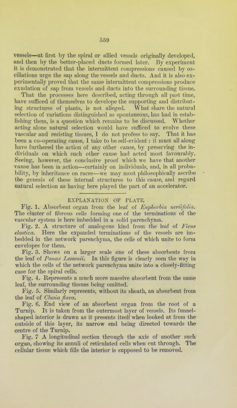 vessels—at first by the spiral or allied vessels originally developed, and then by the better-placed ducts formed later. By experiment it is demonstrated that the intermittent compressions caused by os- cillations urge the sap along the vessels and ducts. And it is also ex- perimentally proved that the same intermittent compressions produce exudation of sap from vessels and ducts into the surrounding tissue. That the processes here described, acting through all past time, have sufficed of themselves to develope the supporting and distribut- ing structures of plants, is not alleged. What share the natural selection of variations distmguished as spontaneous, has had in estab- lishing them, is a question which remains to be discussed. Whethei- acting alone natural selection would have sufficed to evolve these vascular and resisting tissues, I do not profess to say. That it has been a co-operating cause, I take to be self-evident: it must all along have furthered the action of any other cause, by preserving the in- dividuals on which such other cause had acted most favourably. Seeing, however, the conclusive proof which we have that another ■cause has been in action—certainly on individuals, and, in all proba- bility, by inheritance on races—we may most philosophically asci'ibe the genesis of these internal structures to this cause, and regard natui'al selection as having here played the part of an accelerator. EXPLANATION OF PLATE. Fig. 1. Absorbent organ from the leaf of Euphorbia neriifolia. The cluster of fibrous cells forming one of the terminations of the vascular system is here imbedded in a solid parenchyma. Fig. 2. A structure of analogous kind from the leaf of Ficus elastica. Here the expanded terminations of the vessels are im- bedded in the network parenchyma, the cells of which unite to form envelopes for them. Fig. 3. Shows on a larger scale one of these absorbents from the leaf of Panax Lessonii. In this figure is clearly seen the way in which the cells of the network parenchyma unite into a closely-fitting case for the spiral cells. Fig. 4. Represents a much more massive absorbent from the same leaf, the surrounding tissues being omitted. Fig. 5. Similarly represents, without its sheath, an absorbent from the leaf of Clusia jiava. Fig. 6. End view of an absorbent organ from the root of a Turnip. It is taken from the outeraaost layer of vessels. Its fuimel- shaped interior is drawn as it presents itself when looked at from the outside of this layer, its narrow end being directed towards the centre of the Turnip. Fig. 7 A longitudinal section through the axis of another such organ, showing its annuh of reticulated cells when cut through. The cellular tissue which fills the interior is supposed to be removed.
