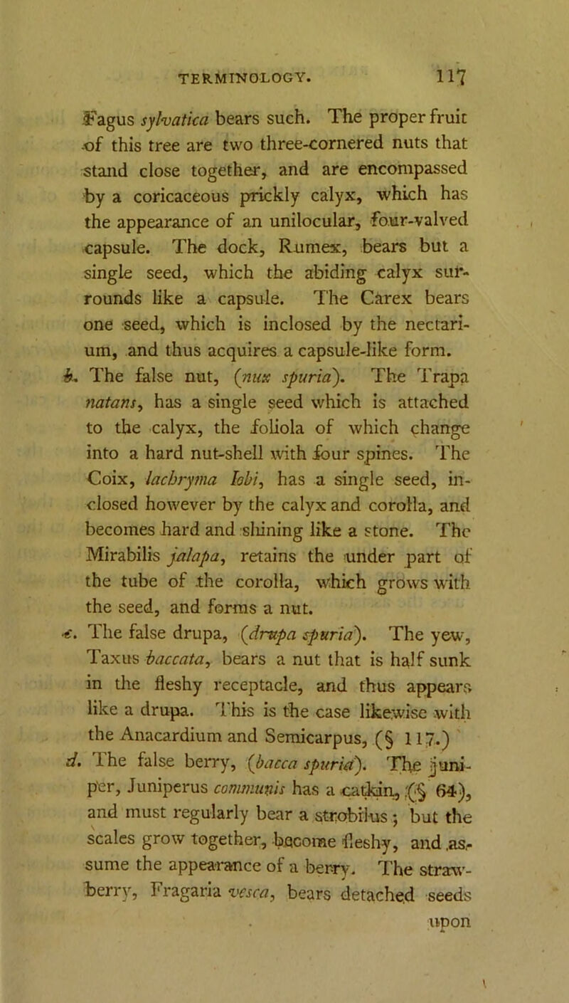 Fagus sylvatka bears such. The proper fruit -of this tree are two three-cornered nuts that stand close together, and are encompassed by a coricaceous prickly calyx, which has the appearance of an unilocular, fo.ur-valved capsule. The dock, Rumex, bears but a single seed, which the abiding calyx sur- rounds like a capsule. The Carex bears one seed, which is inclosed by the nectari- um, and thus acquires a capsule-like form. k. The false nut, (nnx spuria). The Trapa natans^ has a single seed which is attached to the calyx, the foLiola of which change into a hard nut-shell with four spines. The Coix, lacbryma lobi, has a single seed, in- closed however by the calyx and corolla, and becomes hard and sliining like a stone. The Mirabilis Jalapa, retains the under part of the tube of .the corolla, which grows with the seed, and forms a nut. ■€. The false drupa, {drupa spuria). The yew, Taxus haccata^ bears a nut that is half sunk in the fleshy receptacle, and thus appears like a drupa. This is the case likewise with the Anacardium and Semicarpus, (§ 11.) d. Ihe false berry, (bacca spuria). Tlifi jjani- pcr, Juniperus conwiimis has a caiMn, ;(■§ 64), and must regularly bear a strobrius; but the scales grow together, bacorae fleshy, and ,as,- sume the appearance of a berry. The straw- berry, Fragaria vcsca, bears detached seeds upon