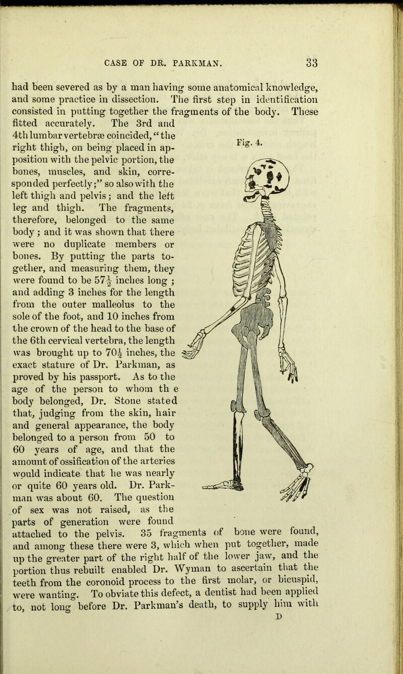 Fig. 4. had been severed as by a man having some anatomical knowledge, and some practice in dissection. The first step in identification consisted in putting together the fragments of the body. These fitted accurately. The 3rd and 4th lumbar vertebrae coi ncided, “ the right thigh, on being placed in ap- position with the pelvic portion, the bones, muscles, and skin, corre- sponded perfectly;” so also with the left thigh and pelvis; and the left leg and thigh. The fragments, therefore, belonged to the same body; and it was shown that there were no duplicate members or bones. By putting the parts to- gether, and measuring them, they were found to be 57-| inches long ; and adding 3 inches for the length from the outer malleolus to the sole of the foot, and 10 inches from the crown of the head to the base of the 6th cervical vertebra, the length was brought up to 70 4 inches, the exact stature of Dr. Parkman, as proved by his passport. As to the age of the person to whom th e body belonged, Dr. Stone stated that, judging from the skin, hair and general appearance, the body belonged to a person from 50 to 60 years of age, and that the amount of ossification of the arteries would indicate that he was nearly or quite 60 years old. Dr. Park- man was about 60. The question of sex was not raised, as the parts of generation were found attached to the pelvis. 35 fragments of bone were found, and among these there were 3, which when put together, made up the greater part of the right half of the lower jaw, and the portion thus rebuilt enabled Dr. Wyman to ascertain that the teeth from the coronoid process to the first molar, or bicuspid, were wanting. To obviate this defect, a dentist had been applied to, not long before Dr. Parkman’s death, to supply him with D