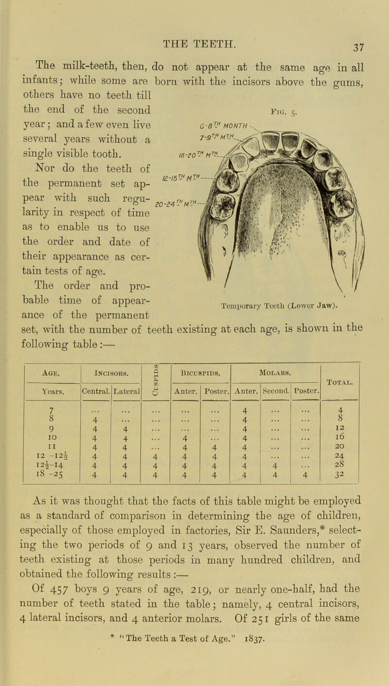 THE TEETH. The milk-teeth, then, do not appear at the same age in all infants; while some are born with the incisors above the gums, others have no teeth till Fig. 5. C-<9^ MONTH - iVmV the end of the second year; and a few even live several years without a single visible tooth. Nor do the teeth of the permanent set ap- pear with such regu- larity in respect of time as to enable us to use the order and date of their appearance as cer- tain tests of age. The order and pro- bable time of appear- ance of the permanent set, with the number of teeth existing at each age, is shown in the following table:— eo-£4 £ i. 16-20 - A Temporary Teetli (Lower Jaw). Age. Incisors. 0 M cc Lj 0 Bicuspids. Molars. Total. Years. Central. Lateral Antor. Poster. An ter. Second. Poster. 7 4 ... 4 8 4 ... ... ... ... 4 8 9 4 4 ... ... ... 4 ... 12 10 4 4 ... 4 ... 4 ... 16 II 4 4 4 4 4 ... 20 12 -12J 4 4 4 4 4 4 24 12^-14 4 4 4 4 4 4 4 28 18 -25 4 4 4 4 4 4 4 4 32 As it was thought that the facts of this table might be employed as a standard of comparison in determining the age of children, especially of those employed in factories. Sir E. Saunders,* select- ing the two periods of 9 and 13 years, observed the number of teeth existing at those periods in many hundred children, and obtained the following results :— Of 457 boys 9 years of age, 219, or nearly one-half, had the number of teeth stated in the table; namely, 4 central incisors, 4 lateral incisors, and 4 anterior molars. Of 251 girls of the same * “ The Teeth a Test of Age.” 1837.