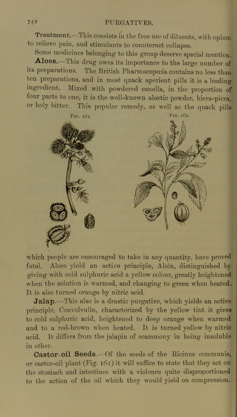 Treatment.—This consists in the free nse of diluents, with opium to relieve pain, and stimulants to counteract collapse. Some medicines belonging to this group deserve special mention. Aloes.—This drug owes its importance to the large number of its preparations. The British Pharmacopoeia contains no less than ten preparations, and in most quack aperient pills it is a leading ingredient. Mixed with powdered canella, in the proportion of four parts to one, it is the well-known aloetic powder, hiera-picra, or holy bitter. This popular remedy, as well as the quack pills Fig. i6i. 162. which people are encouraged to take in any quantity, have proved fatal. Aloes yield an active principle, Aloin, distinguished by giving with cold sulphuric acid a yellow colour, greatly heightened when the solution is warmed, and changing to green when heated. It is also turned orange by nitric acid. Jalap.—This also is a drastic purgative, which yields an active principle, Convolvulin, characterized by the yellow tint it gives to cold sulphuric acid, heightened to deep orange when warmed and to a red-brown when heated. It is turned yellow by nitric acid. It differs from the jalapin of scammony in being insoluble in ether. Castor-oil Seeds.—Of the seeds of the Ricinus communis, or castor-oil plant (Fig. 161) it will suffice to state that they act on the stomach and intestines with a violence quite disproportioned to the action of the oil which they would yield on compression.