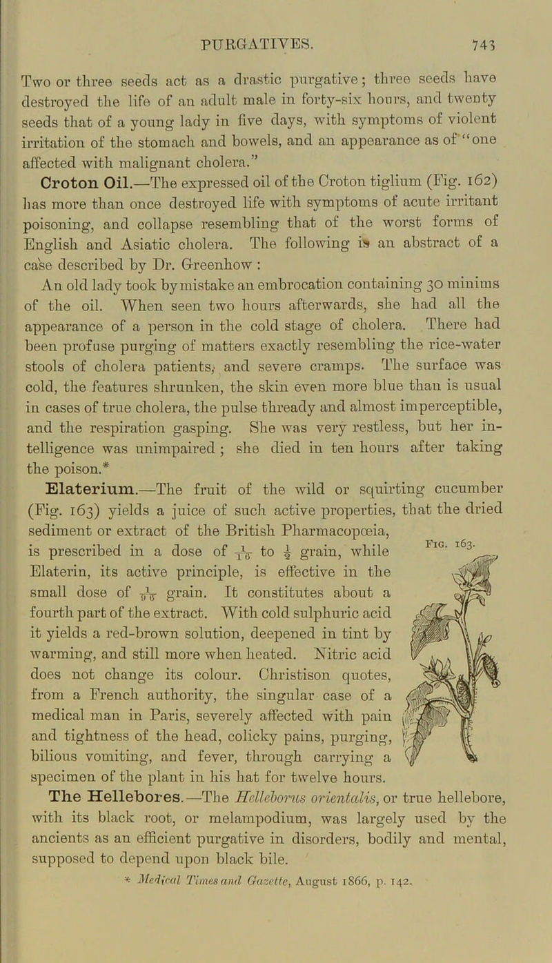 Two or tln-ee seeds act as a drastic purgative; three seeds have destroyed the life of an adult male in forty-six hours, and twenty seeds that of a young lady in five days, with symptoms of violent irritation of the stomach and bowels, and an appearance as of “one affected with malignant cholera.” Croton Oil.—The expressed oil of the Croton tiglium (Fig. 162) has more than once destroyed life with symptoms of acute irritant poisoning, and collapse resembling that of the worst forms of English and Asiatic cholera. The following is an abstract of a case described by Dr. Greenhow : An old lady took by mistake an embrocation containing 30 minims of the oil. When seen two hours afterwards, she had all the appearance of a person in the cold stage of cholera. There had been profuse purging of matters exactly resembling the rice-water stools of cholera patients,- and severe cramps. The surface was cold, the features shrunken, the skin even more blue than is usual in cases of true cholera, the pulse thready and almost imperceptible, and the respiration gasping. She was very restless, but her in- telligence was unimpaired ; she died in ten hours after taking the poison.* Elaterium.—The fruit of the wild or squirting cucumber (Fig. 163) yields a juice of such active properties, that the dried sediment or extract of the British Pharmacopoeia, is prescribed in a dose of yV 1 grain, while Elaterin, its active principle, is effective in the small dose of yV grain. It constitutes about a fourth part of the extract. With cold sulphuric acid it yields a red-brown solution, deepened in tint by warming, and still more when heated. Nitric acid does not change its colour. Christison quotes, from a French authority, the singular case of a medical man in Paris, severely affected with pain and tightness of the head, colicky pains, purging, bilious vomiting, and fever, through carrying a specimen of the plant in his hat for twelve hours. The Hellebores.—The Hellehorus orientcdis, or true hellebore, with its black root, or melampodium, was largely used by the ancients as an efficient purgative in disorders, bodily and mental, supposed to depend upon black bile. MeAiral Times and Gazette, August 1866, p. 142,